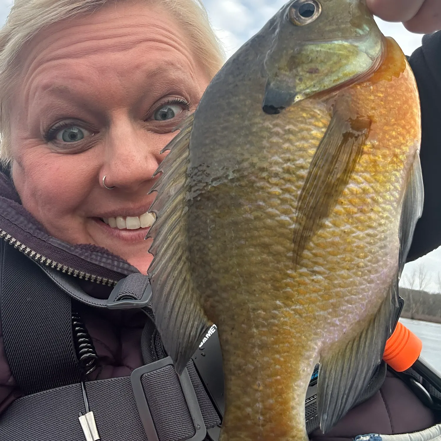 The most recent Bluegill catches on Fishbrain