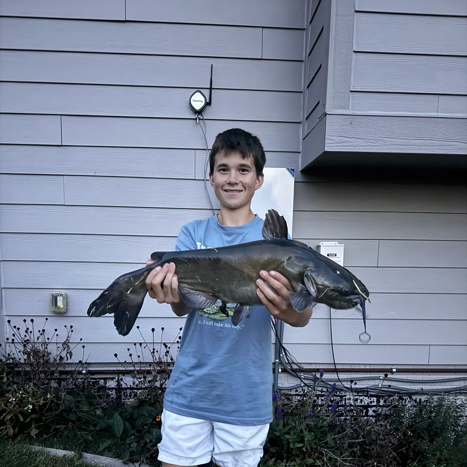 Channel catfish caught on Fishbrain