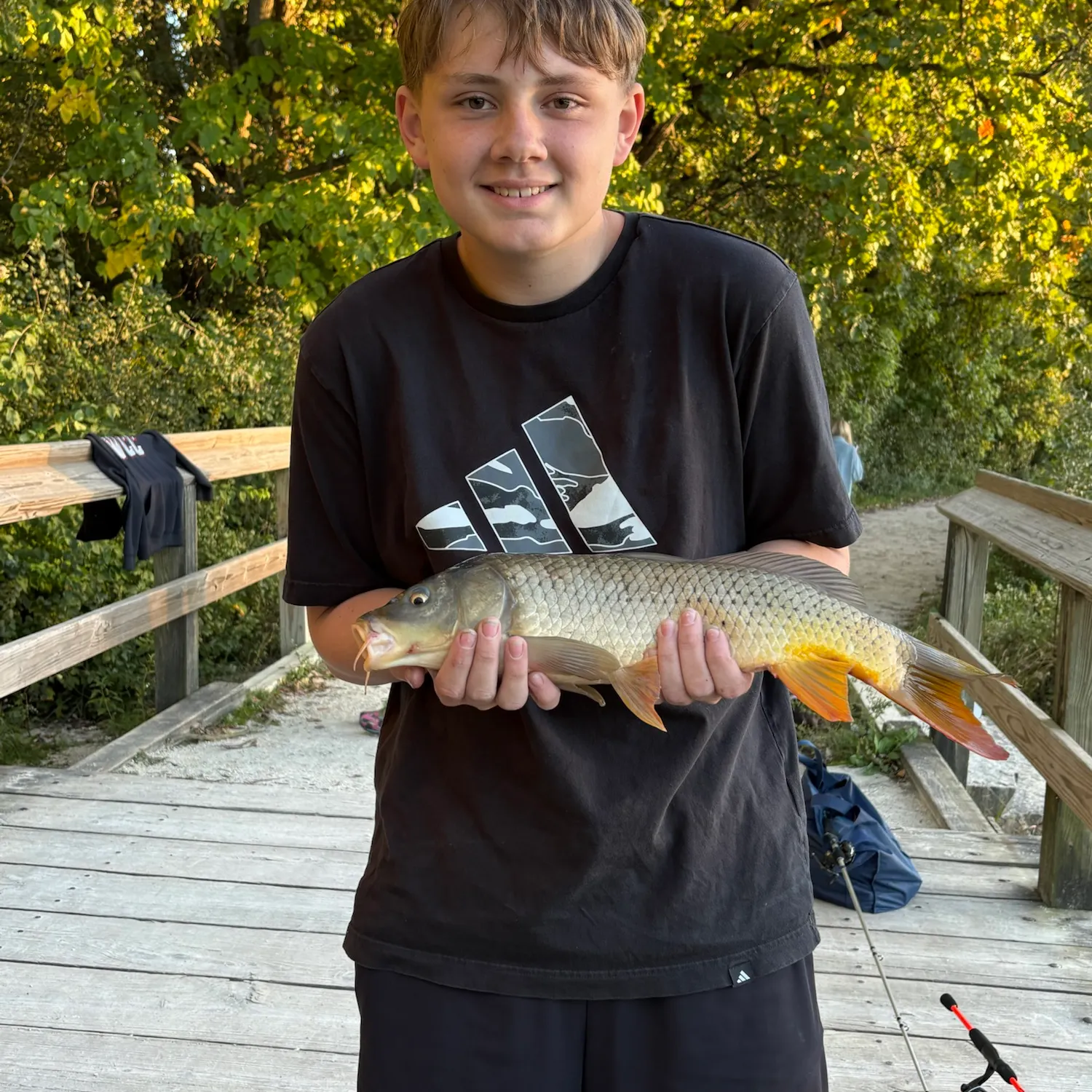 Common carp caught on Fishbrain