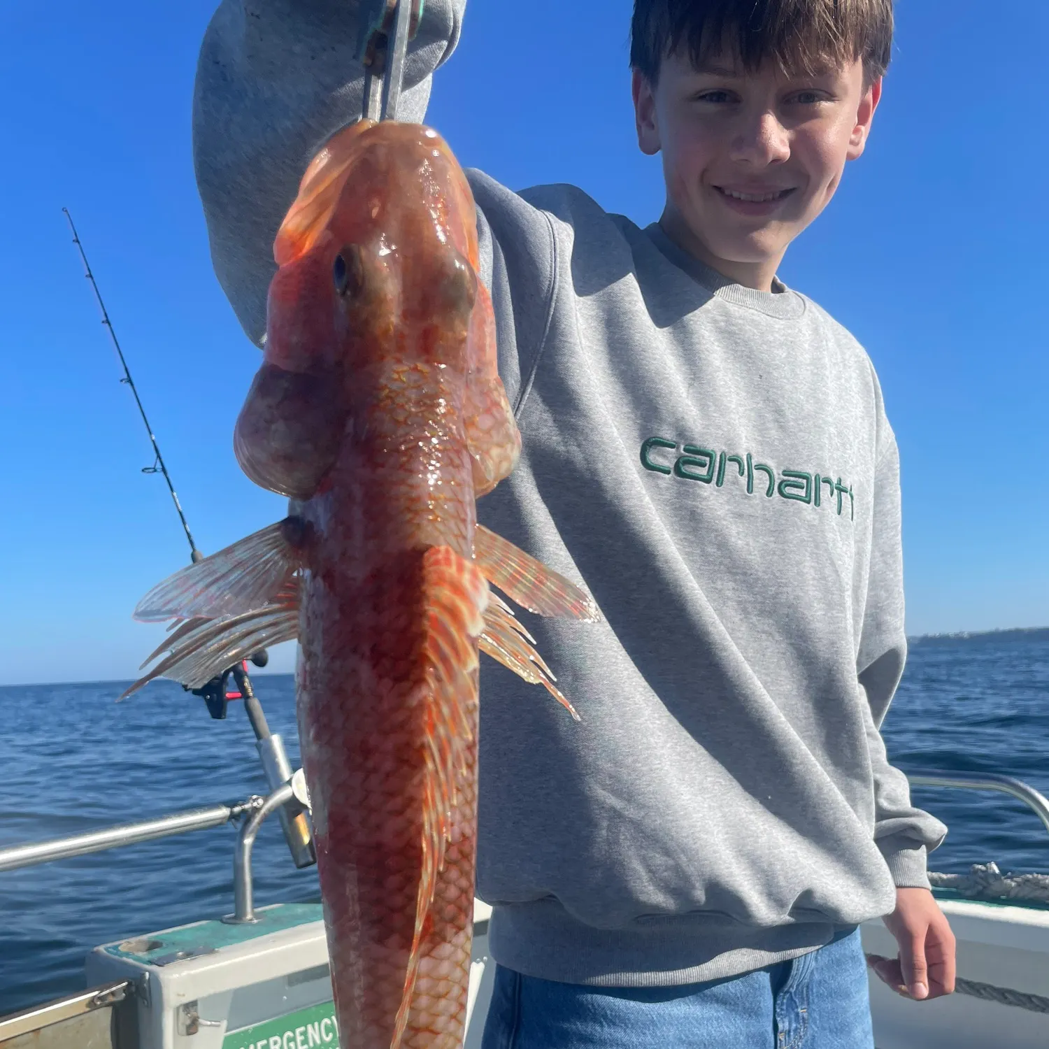 The most recent Sergeant Baker catches on Fishbrain