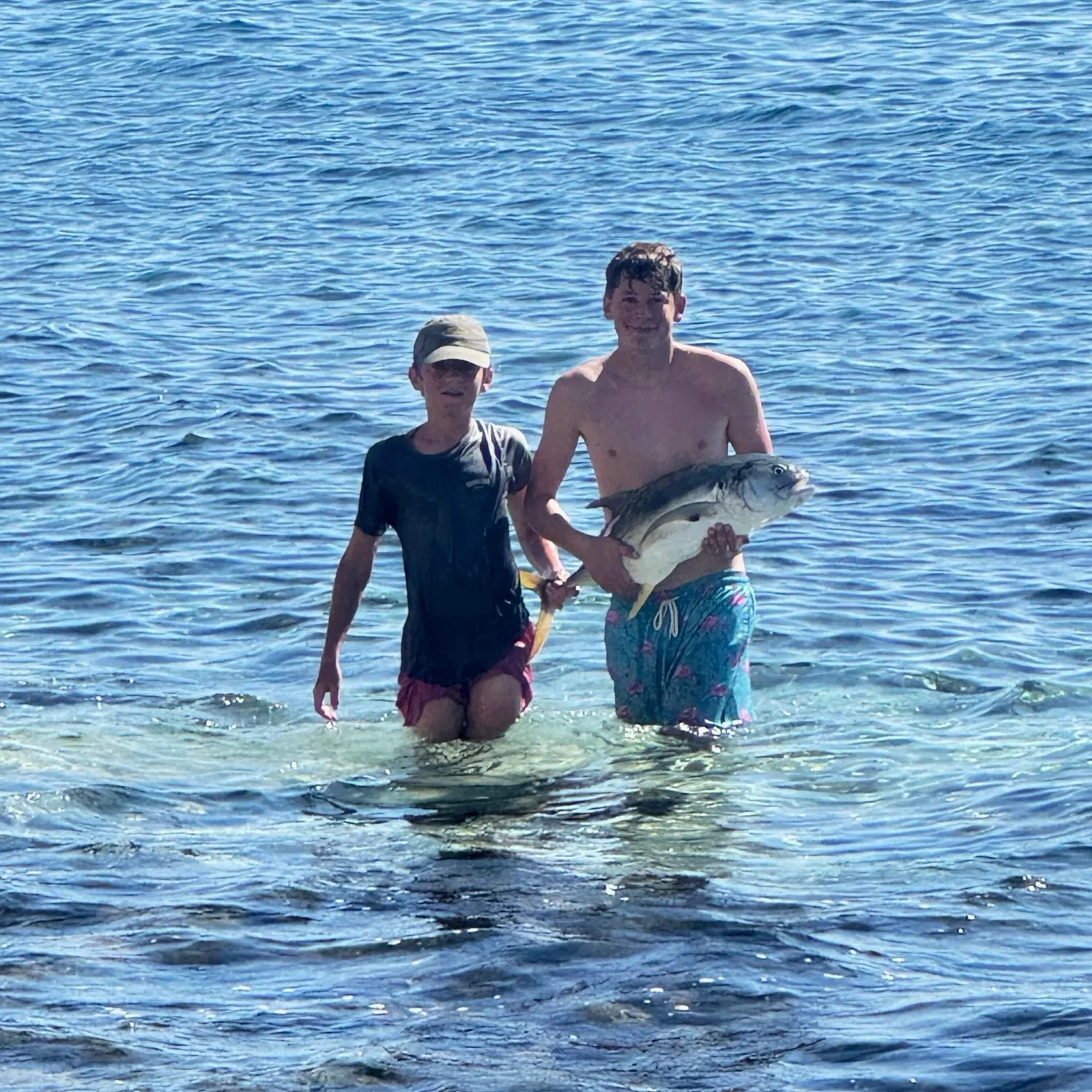 The most recent Pacific crevalle jack catches on Fishbrain