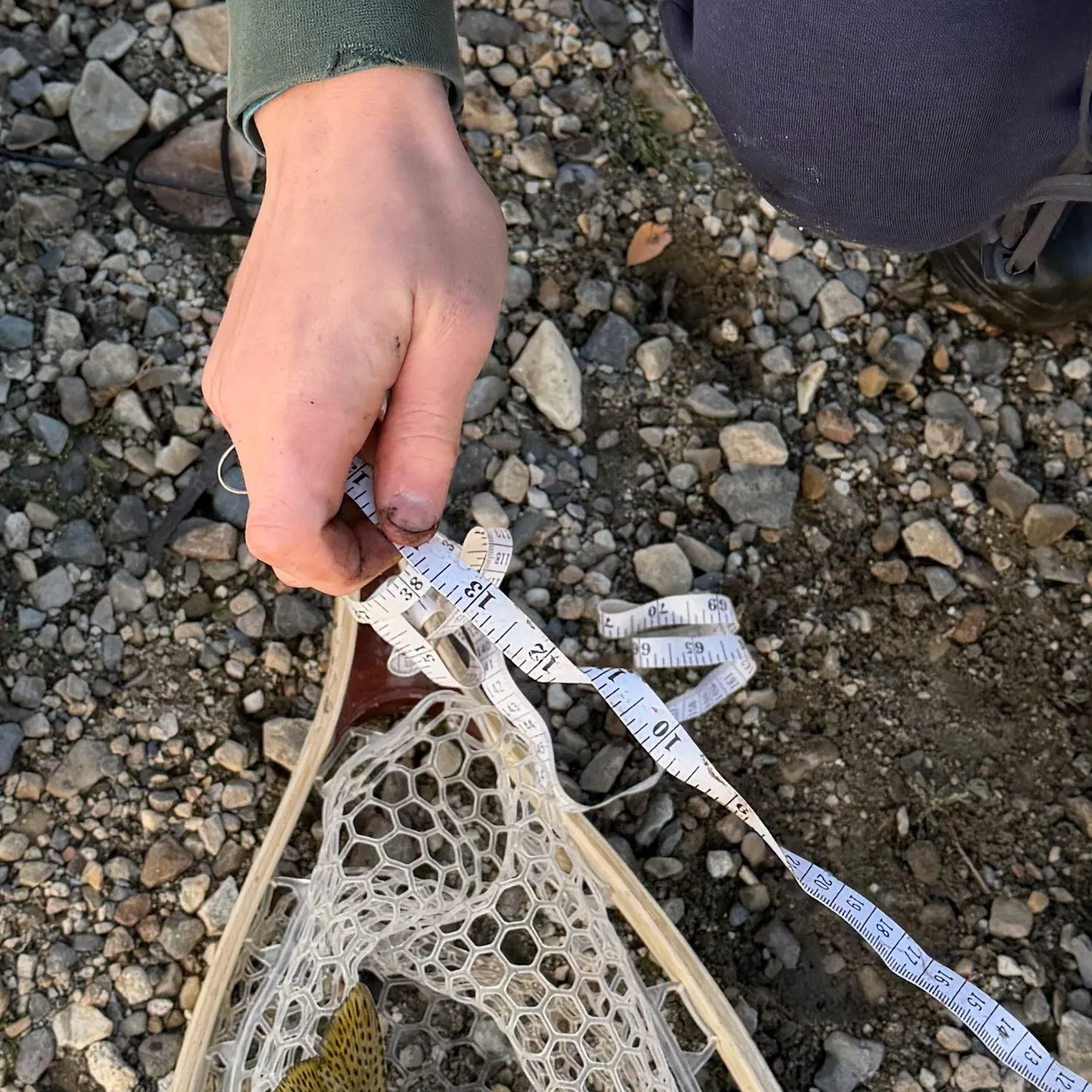 The most recent Bonneville cutthroat trout catches on Fishbrain