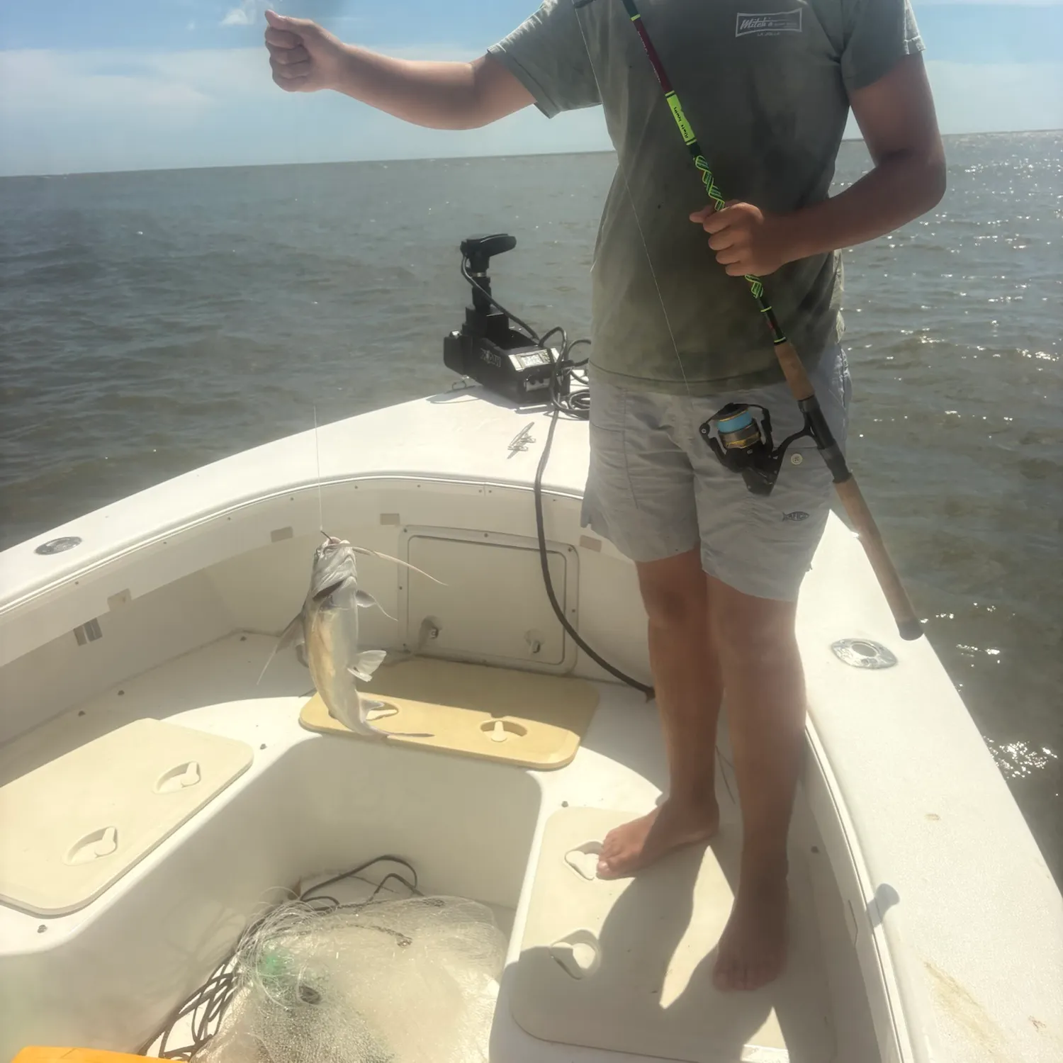 Gafftopsail sea catfish caught on Fishbrain