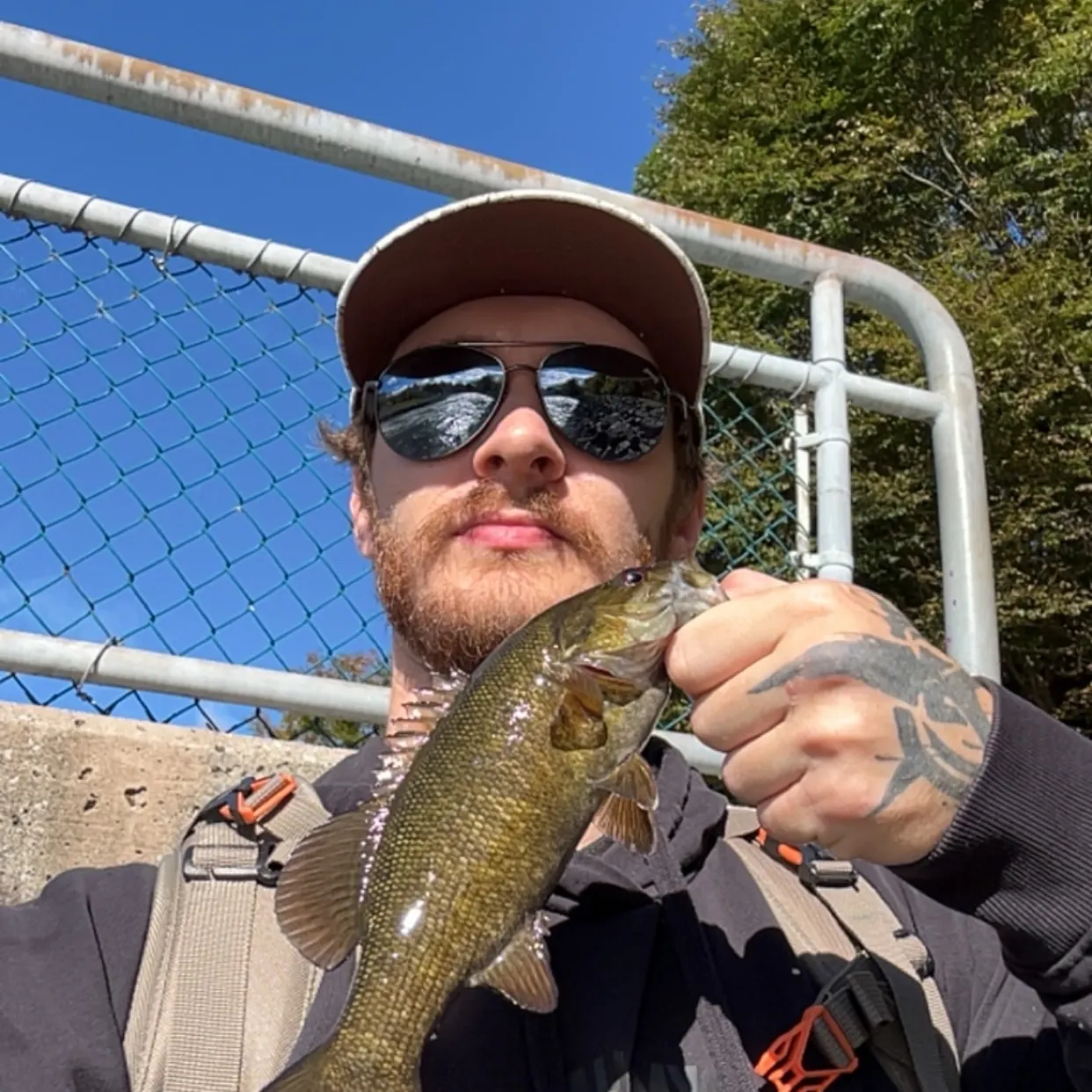 Smallmouth bass caught on Fishbrain
