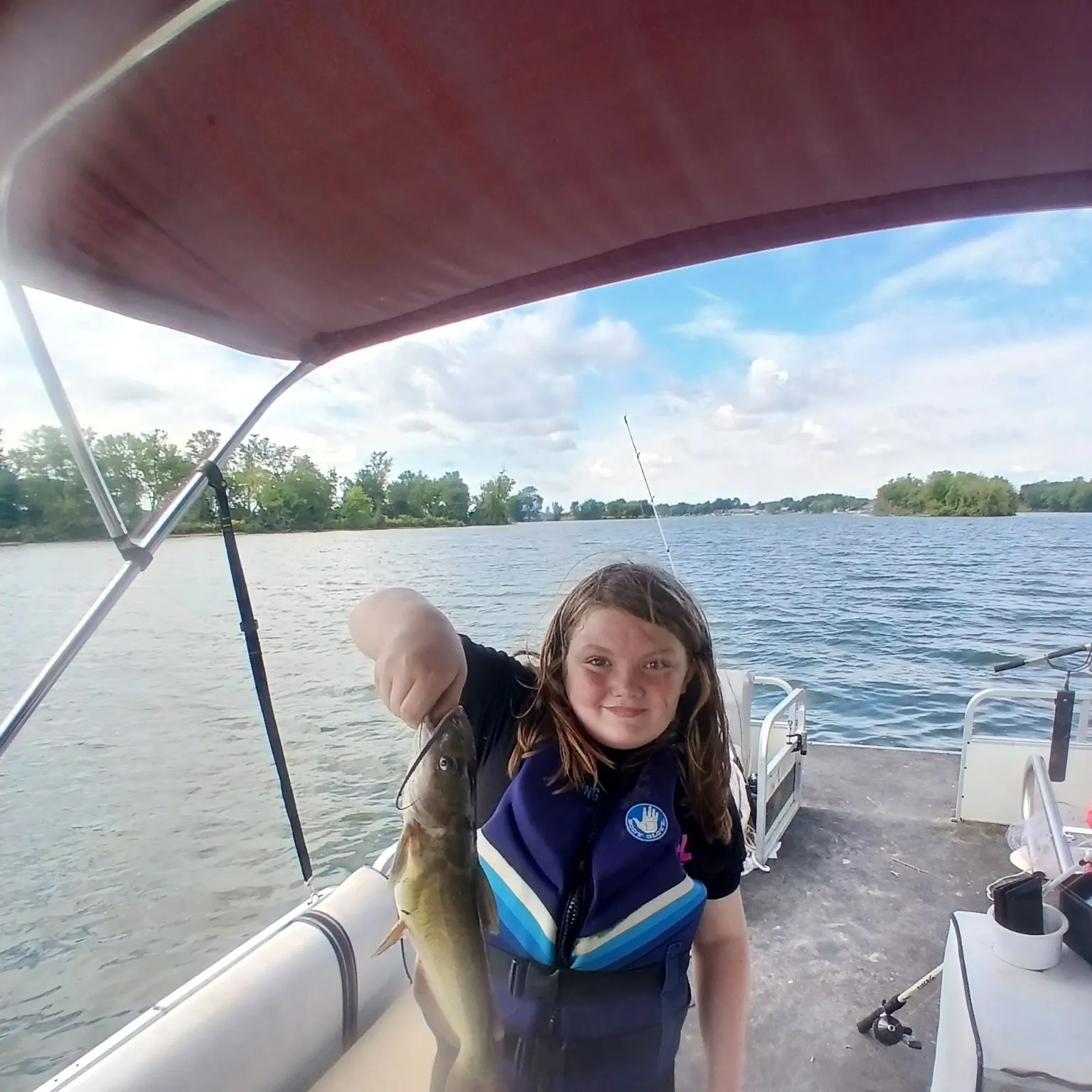 Channel catfish caught on Fishbrain