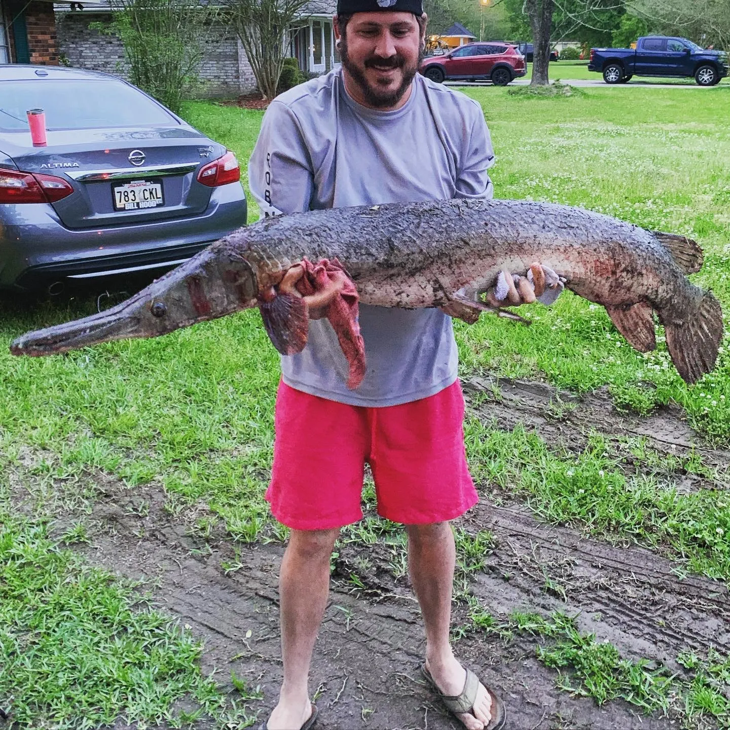 The most recent Alligator gar catches on Fishbrain