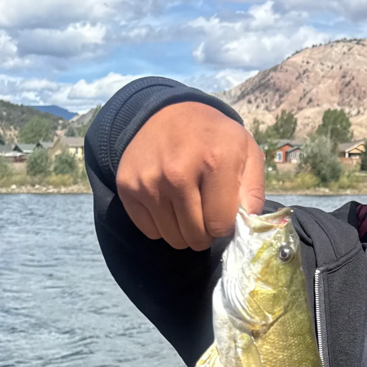 Smallmouth bass caught on Fishbrain