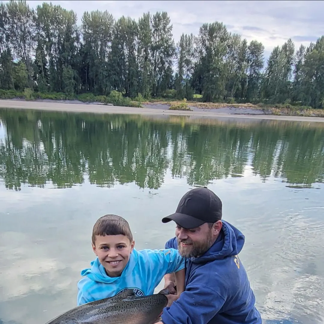 Chinook salmon caught on Fishbrain