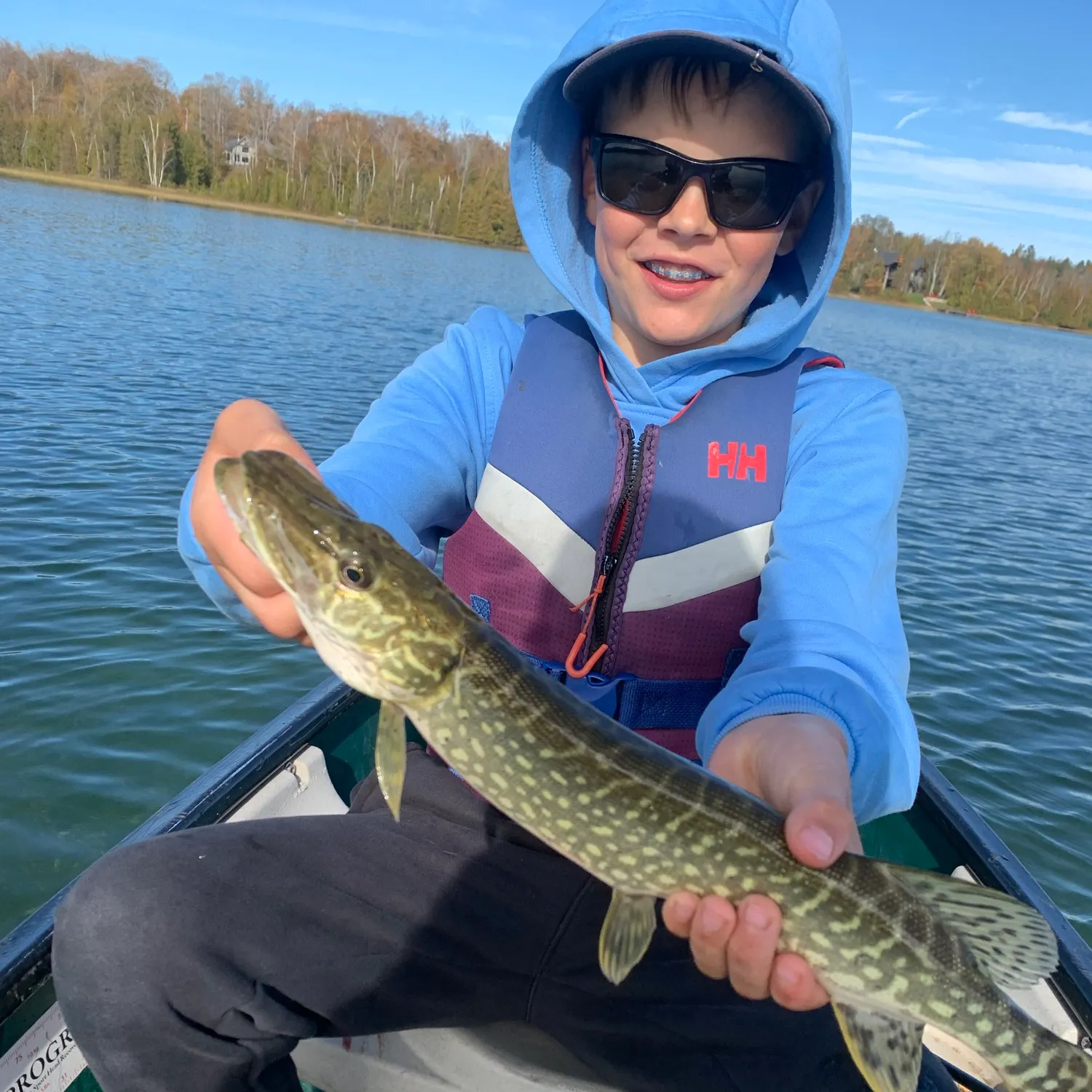 Northern pike caught on Fishbrain