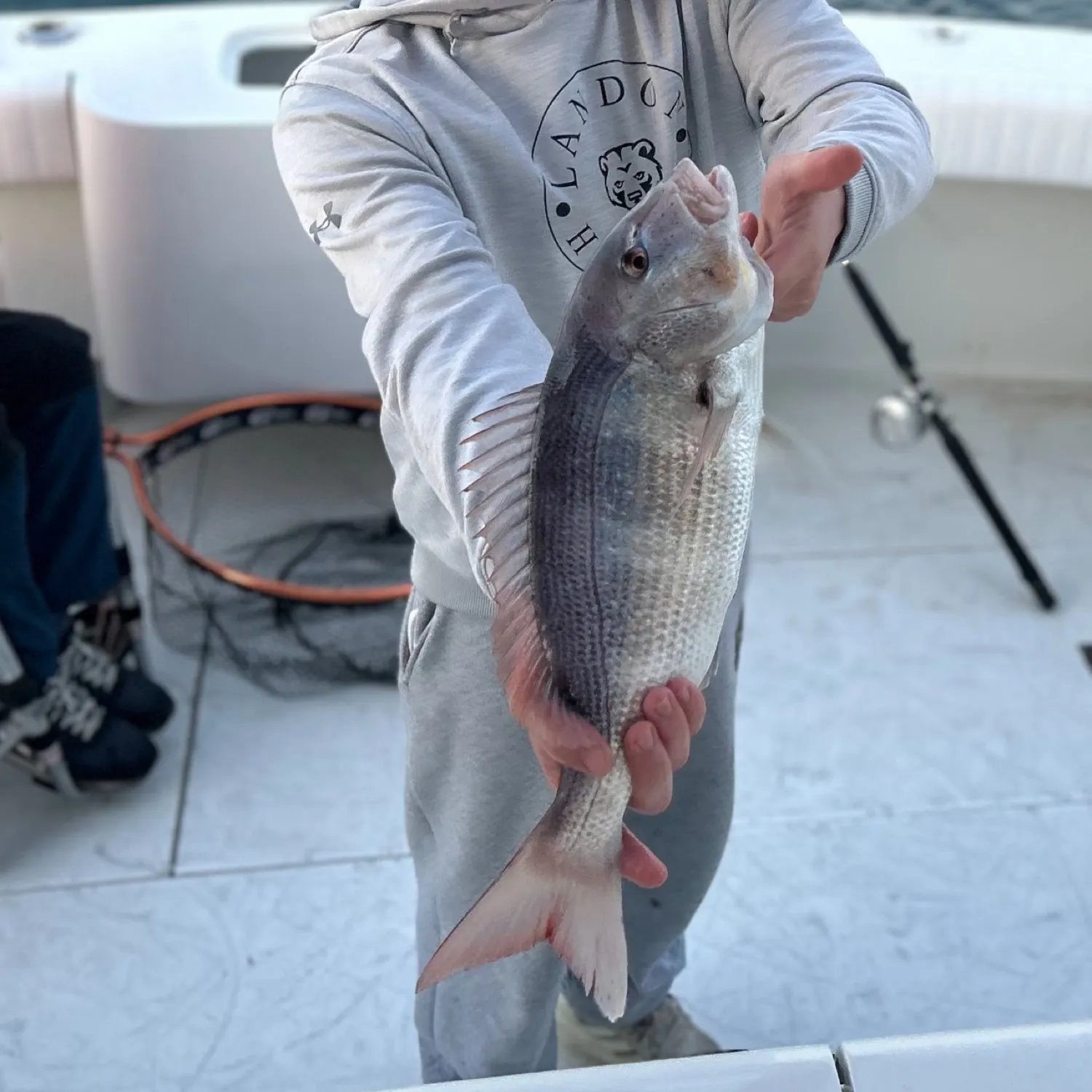 most liked catch image