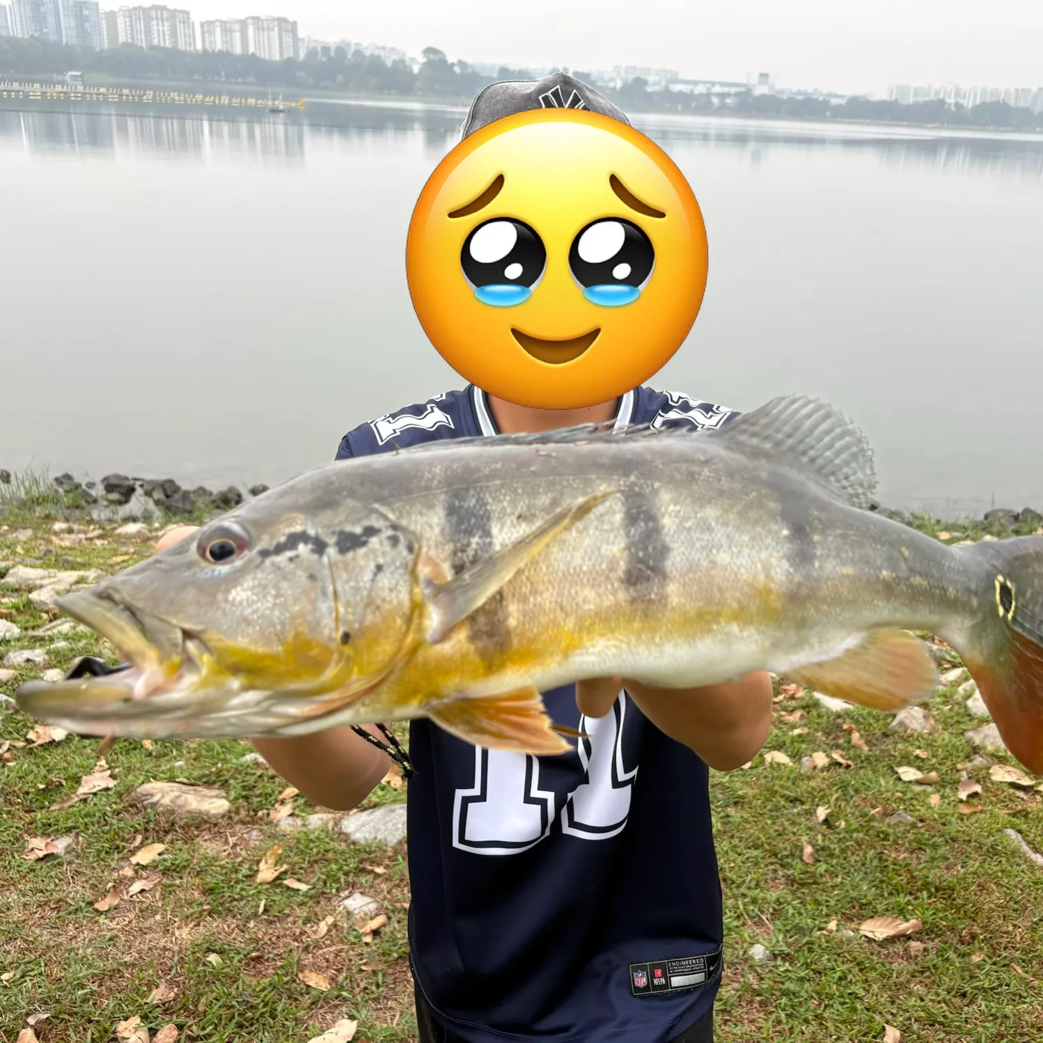 The most recent Speckled peacock bass catches on Fishbrain