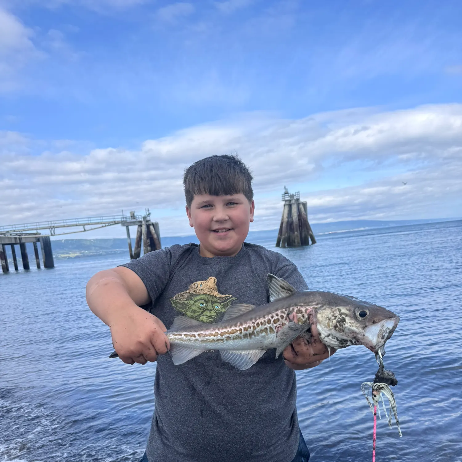 Pacific cod caught on Fishbrain