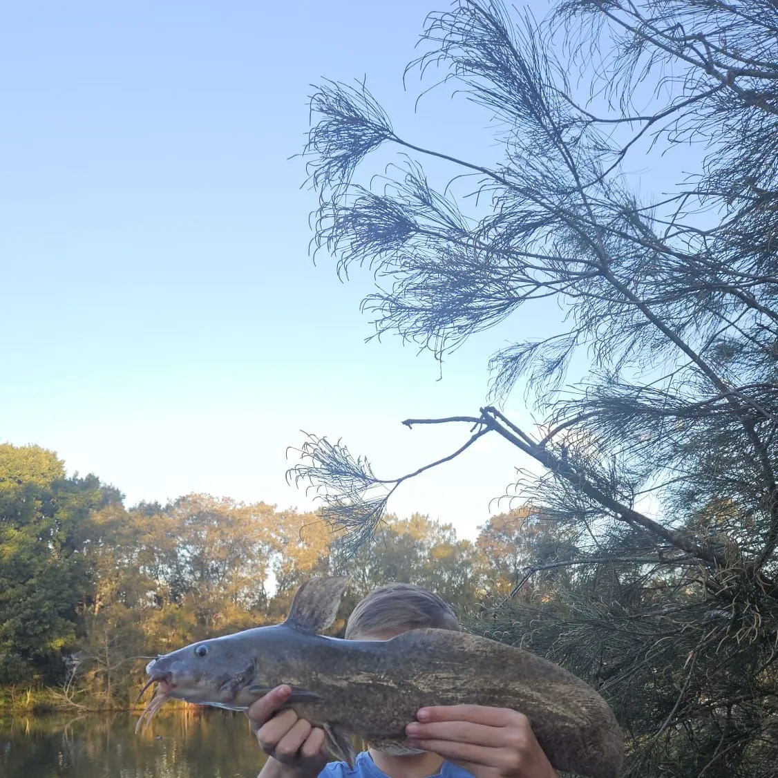 The most recent Dewfish catches on Fishbrain