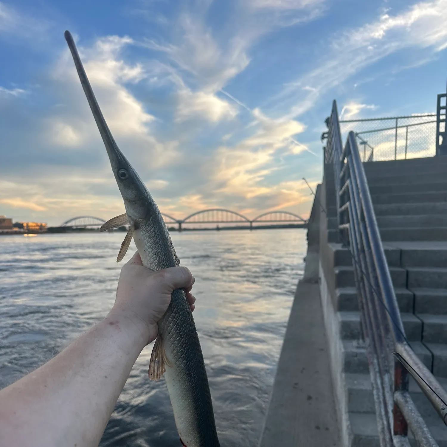 catch