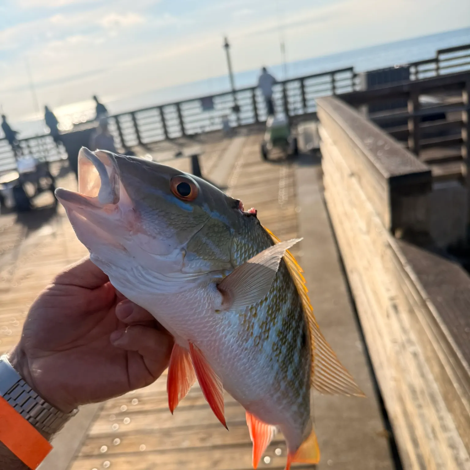 catch