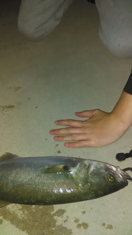 Post image from Fisherholic51