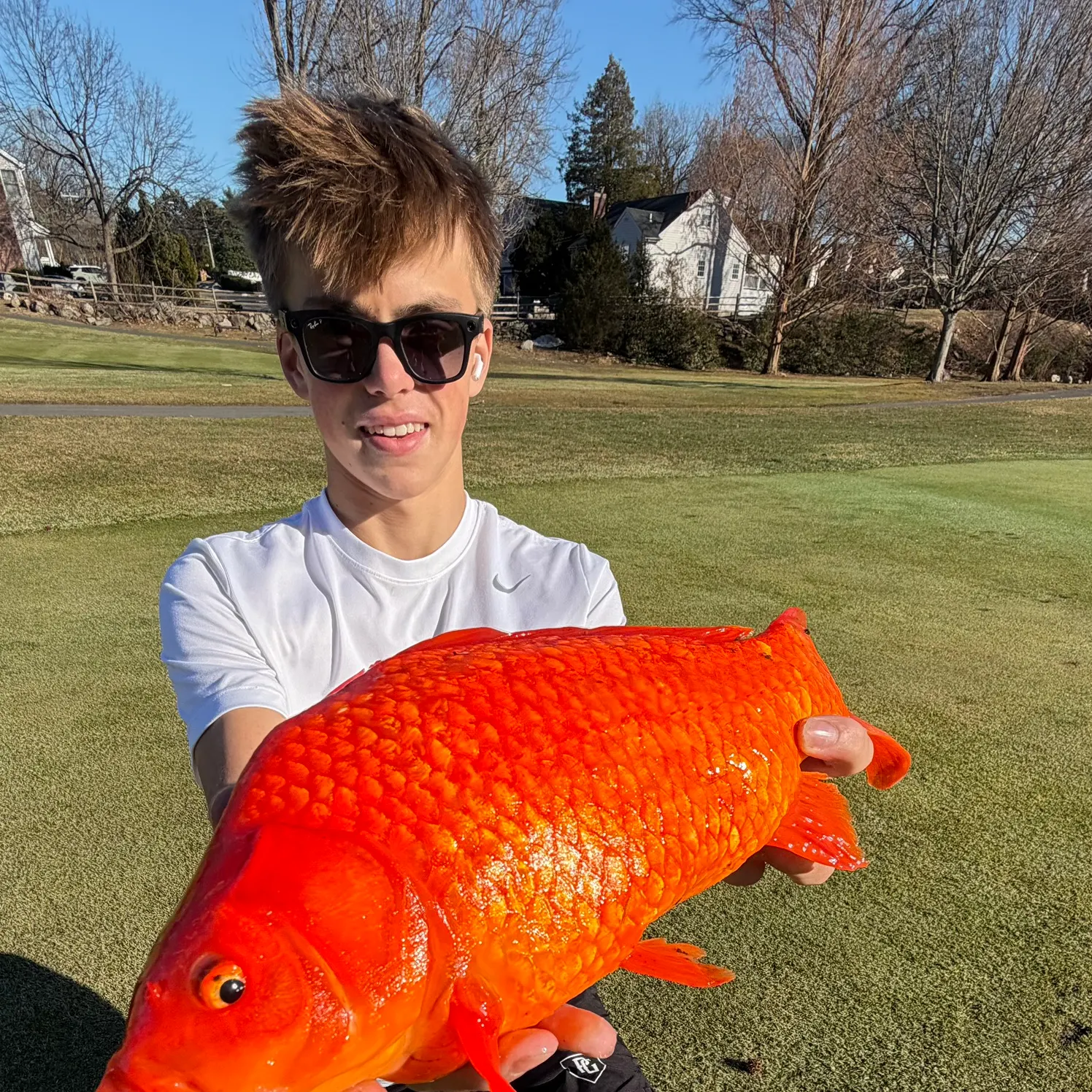 The most recent Goldfish catches on Fishbrain