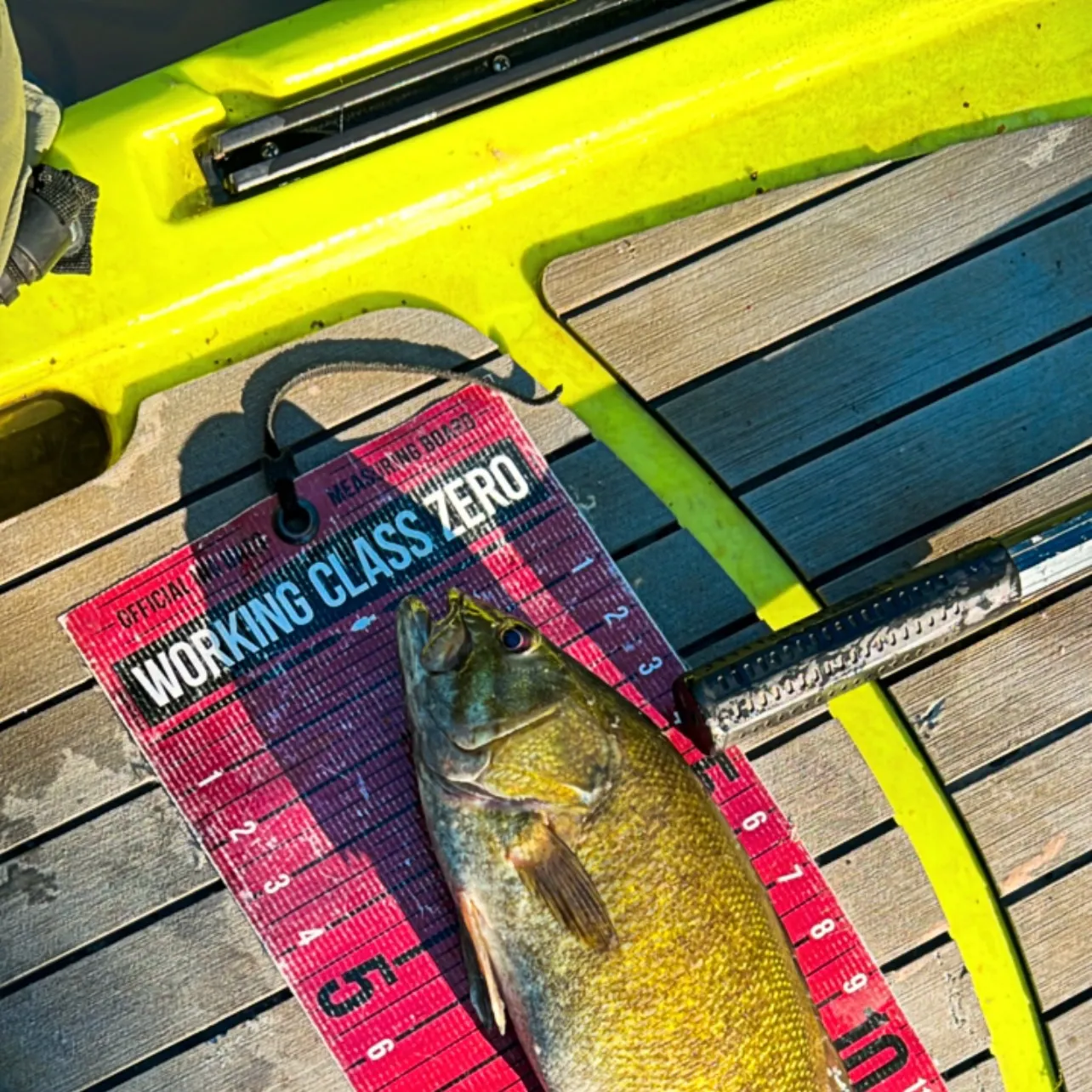 angler catch