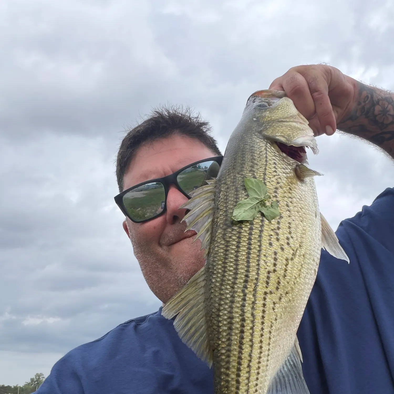 Wiper caught on Fishbrain