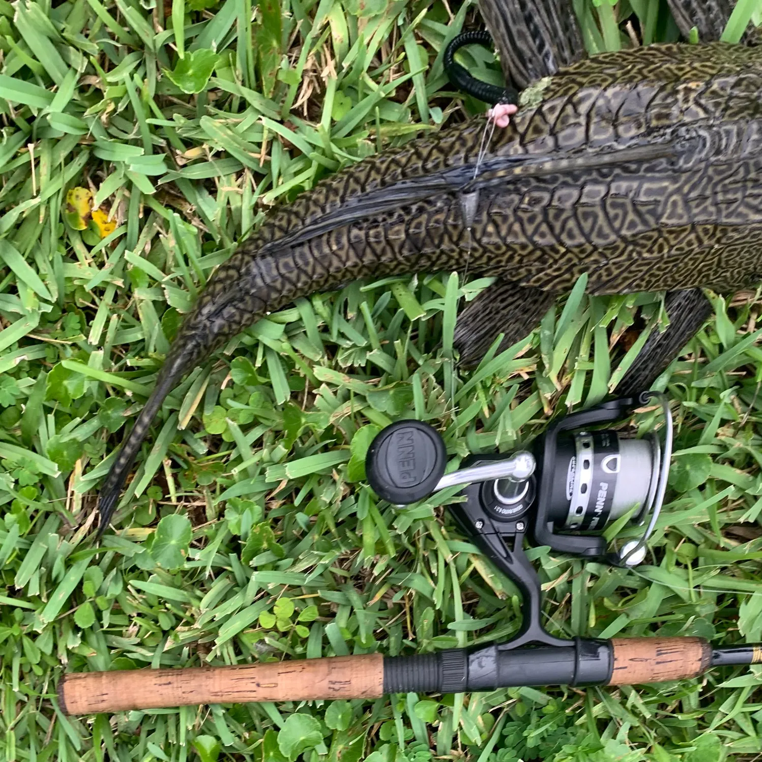 The most recent Suckermouth catfish catches on Fishbrain
