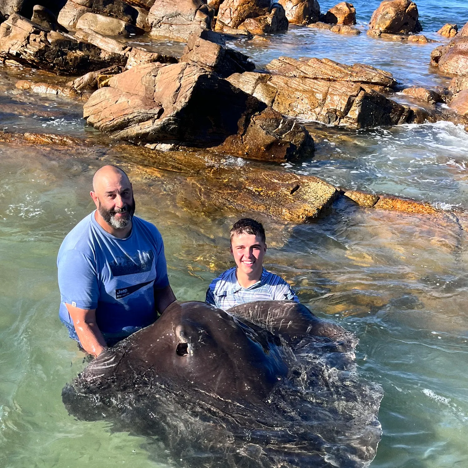 The most recent Short-tail stingray catches on Fishbrain