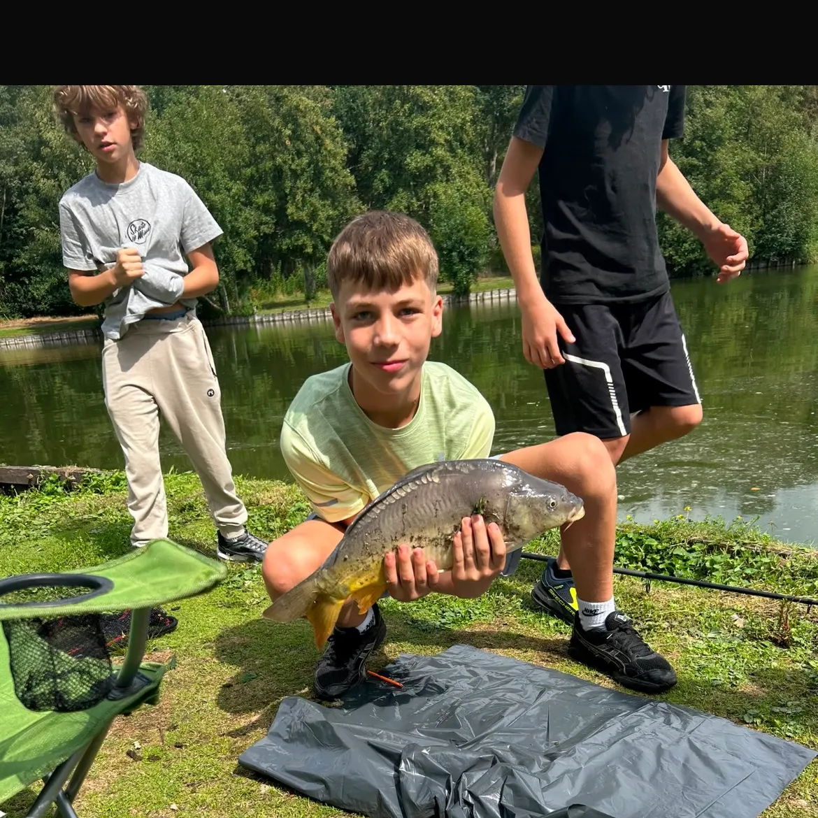 Common carp caught on Fishbrain