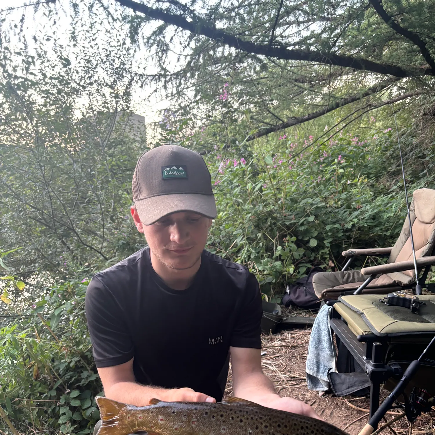 Brown trout caught on Fishbrain