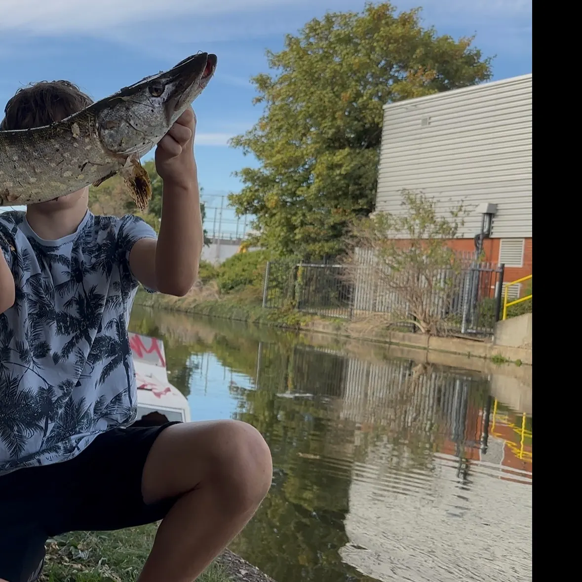 Northern pike caught on Fishbrain