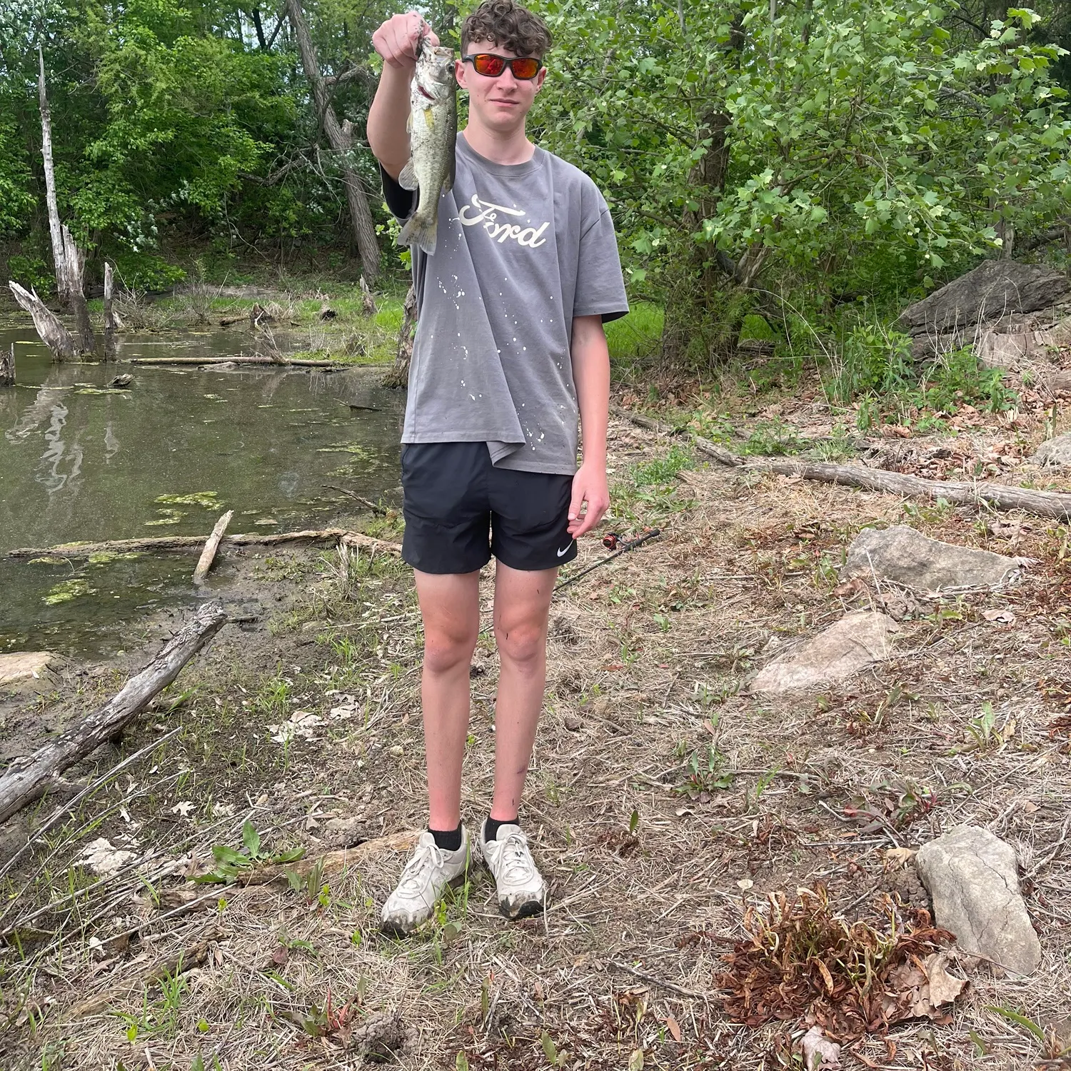 The most recent Largemouth bass catches on Fishbrain