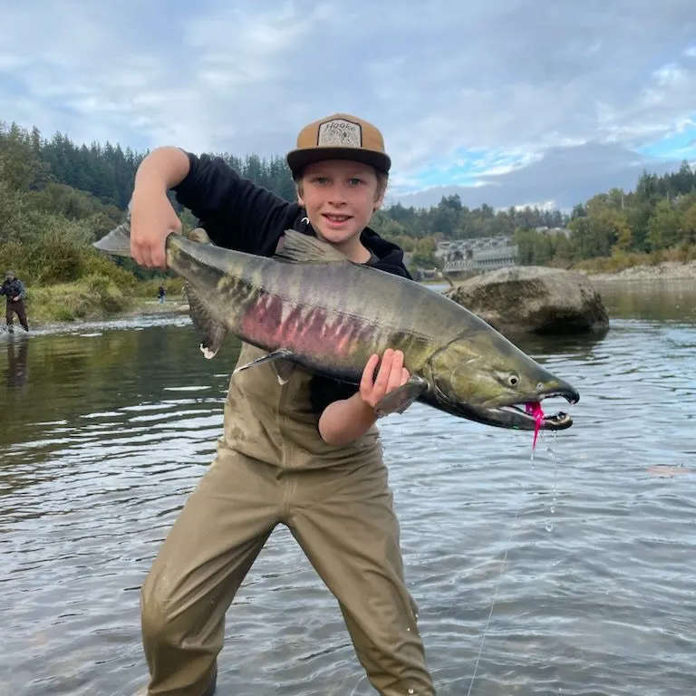 Chum salmon caught on Fishbrain