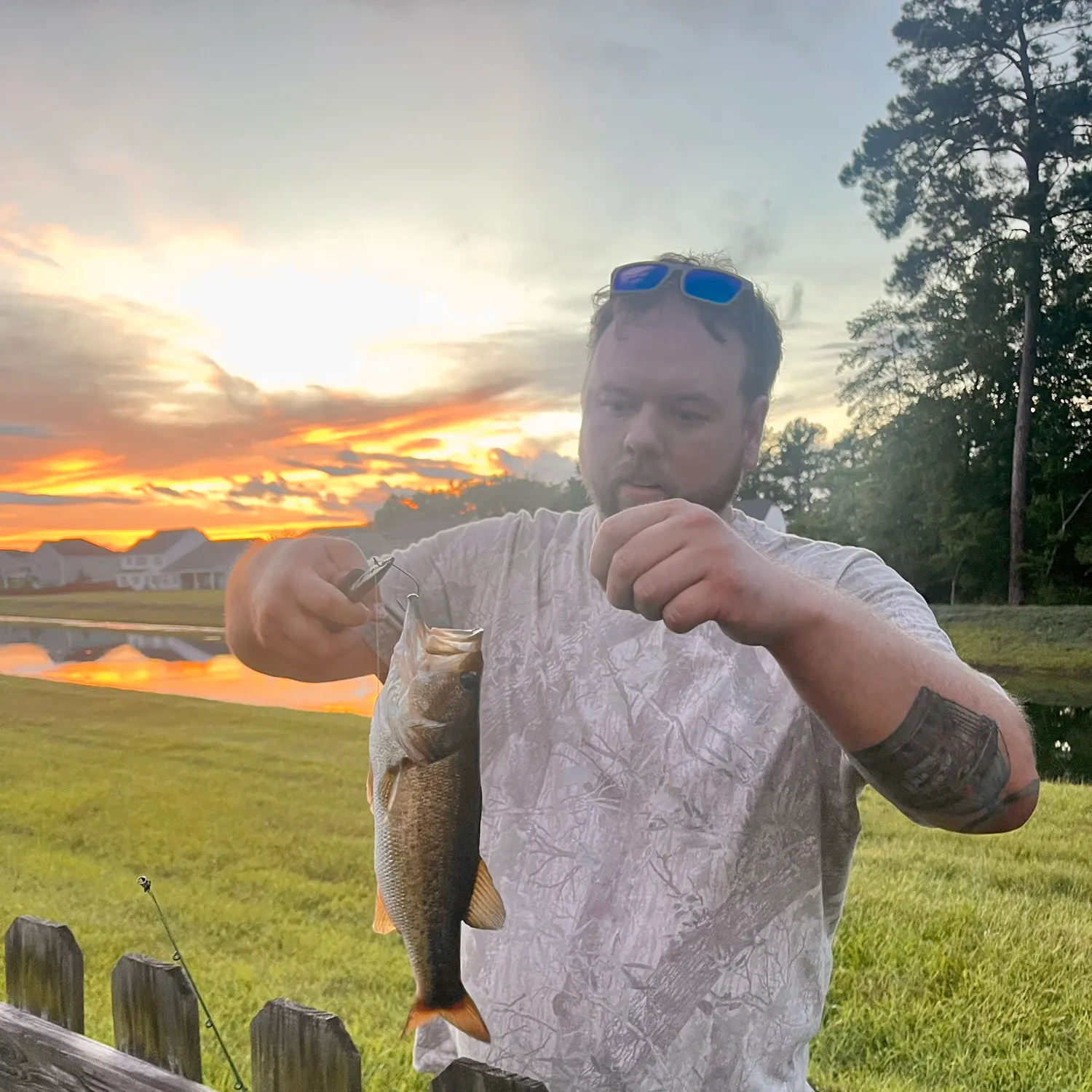 Largemouth bass caught on Fishbrain