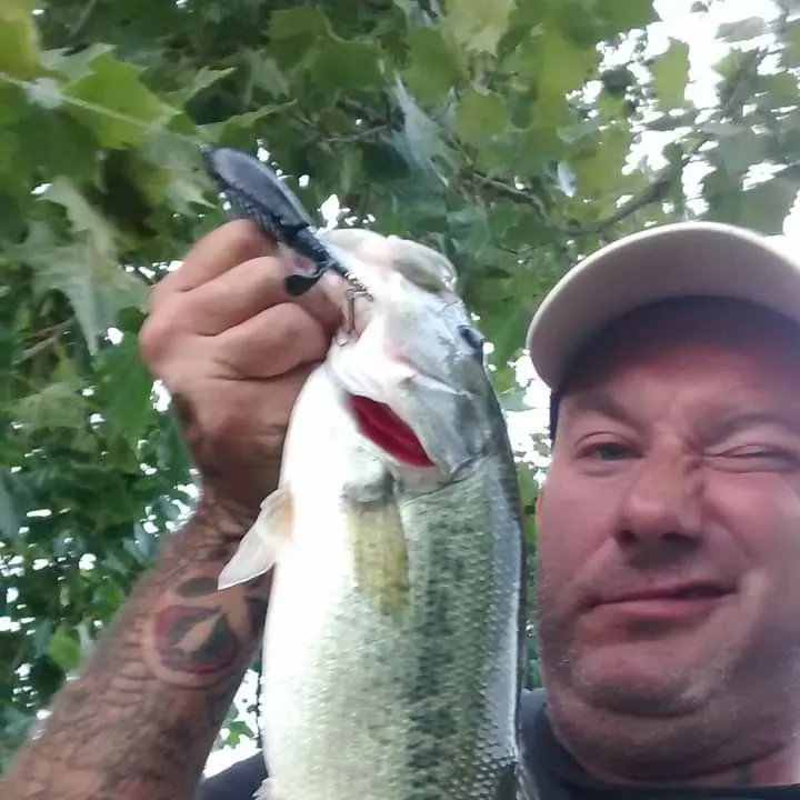 Fish caught on Fishbrain