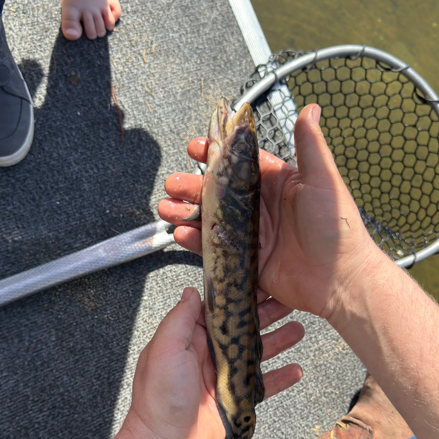 catch