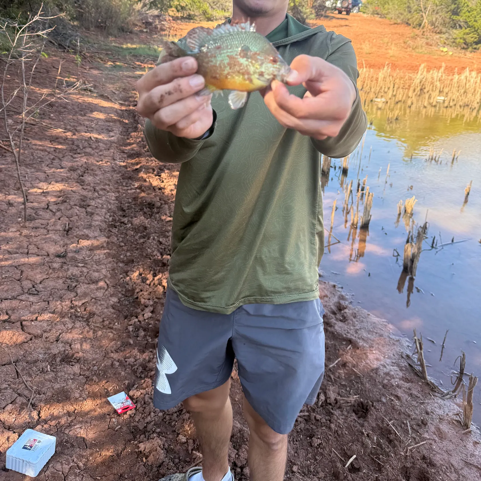 The most recent Longear sunfish catches on Fishbrain