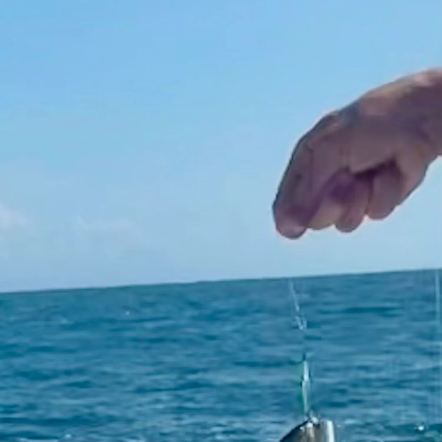 most liked catch image