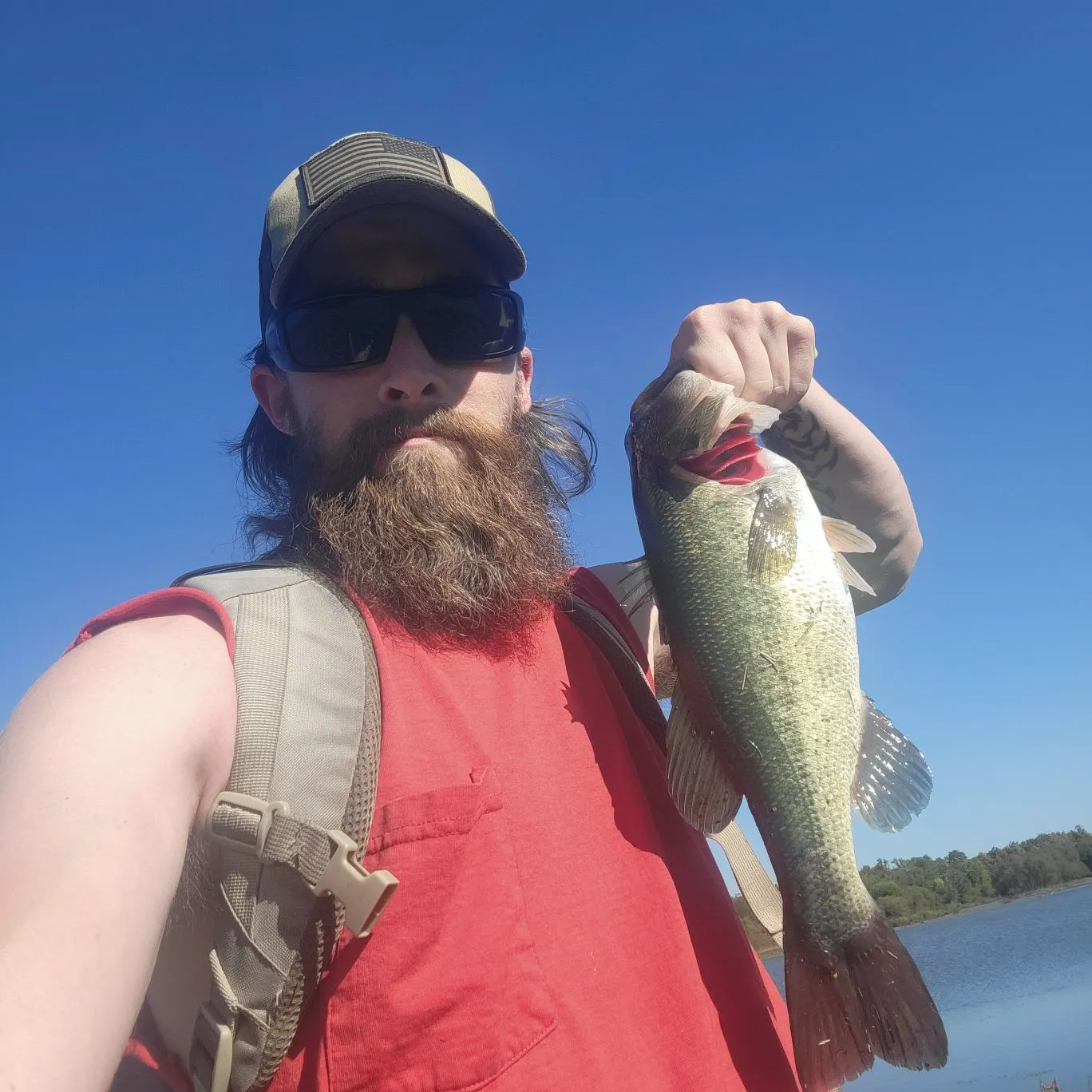 Largemouth bass caught on Fishbrain