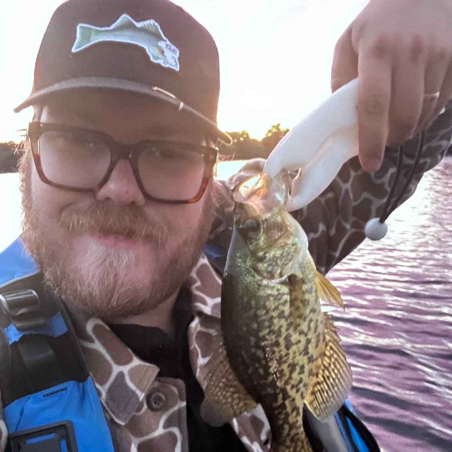 Black crappie caught on Fishbrain