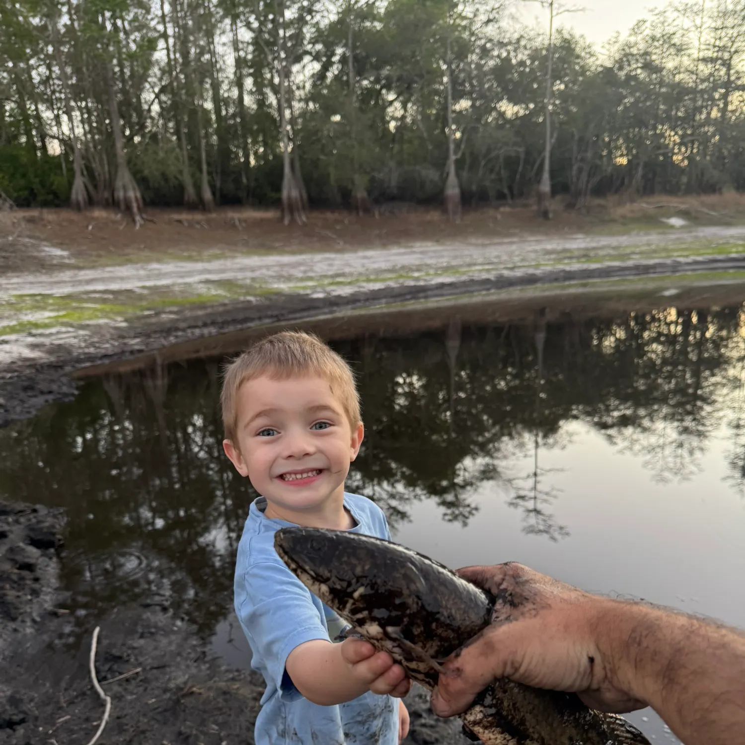 The most recent Ruddy bowfin catches on Fishbrain