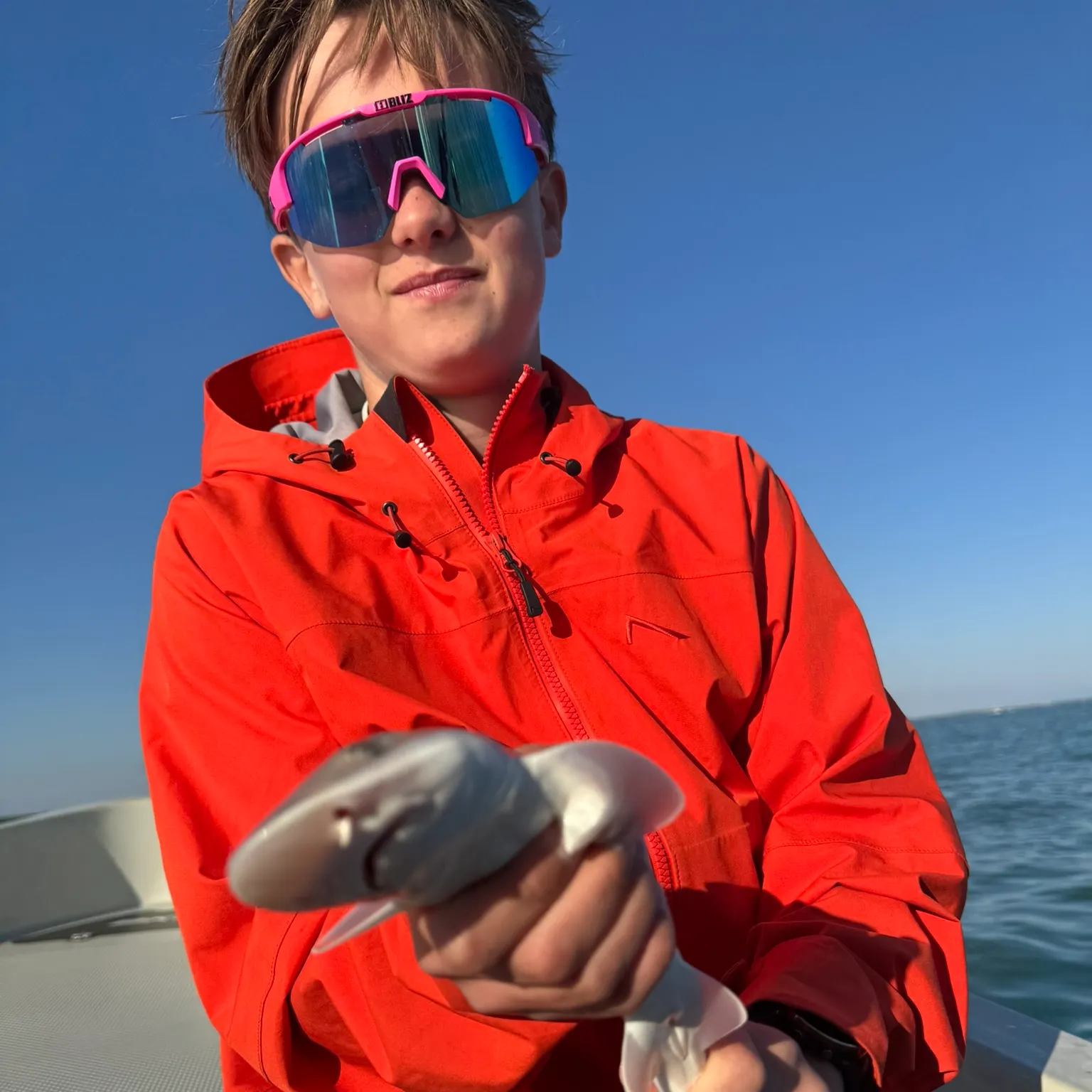 The most recent Lesser spotted dogfish catches on Fishbrain