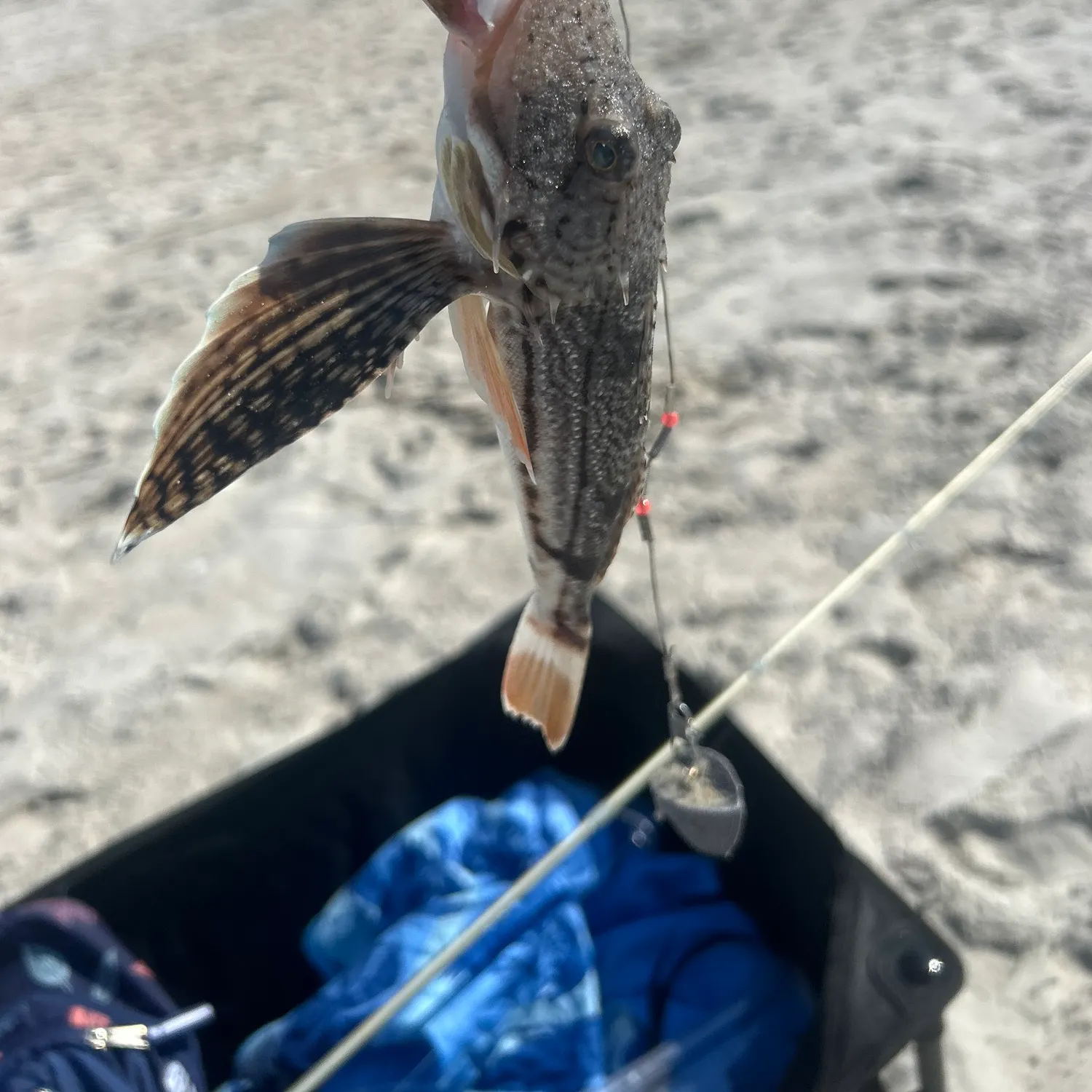 catch