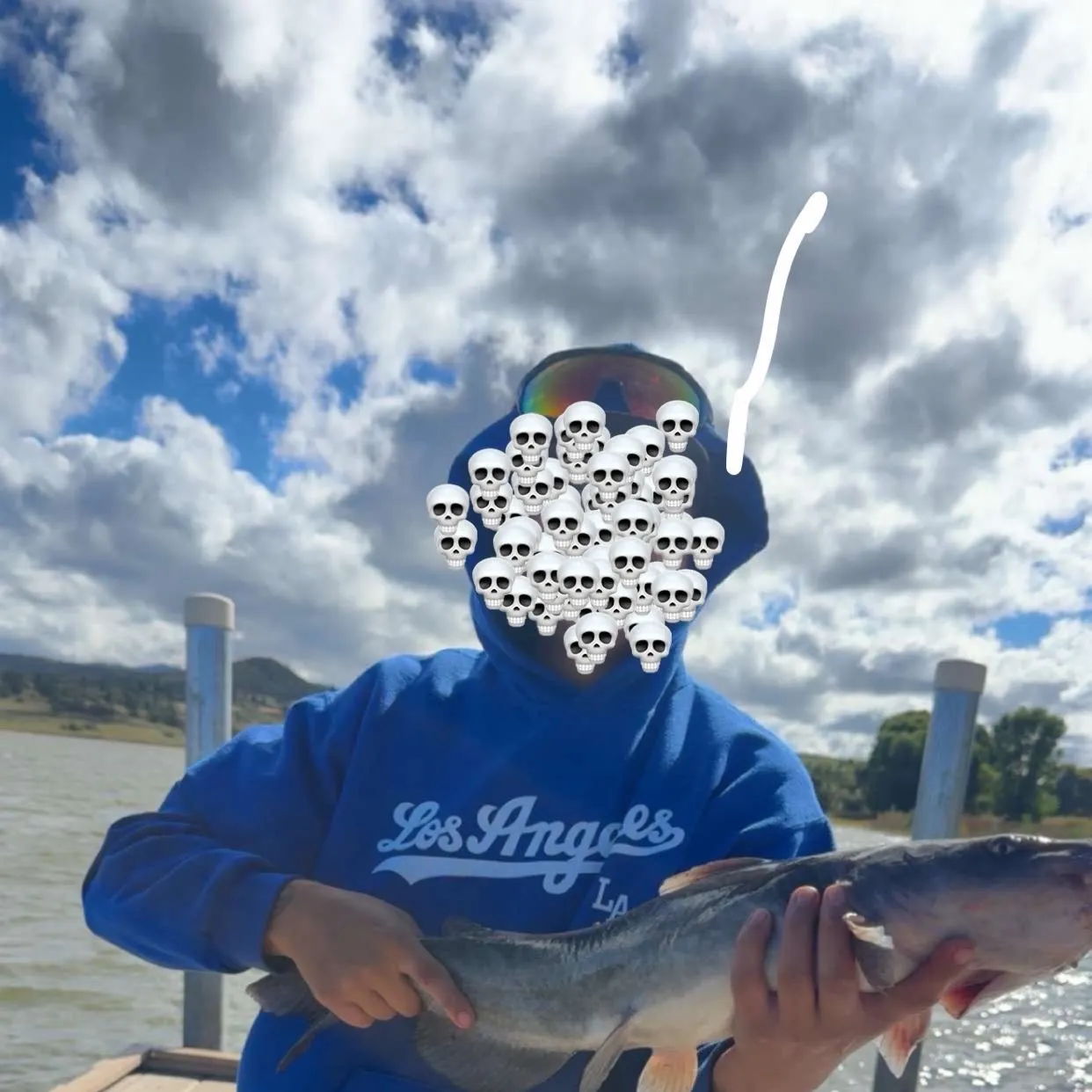 Channel catfish caught on Fishbrain