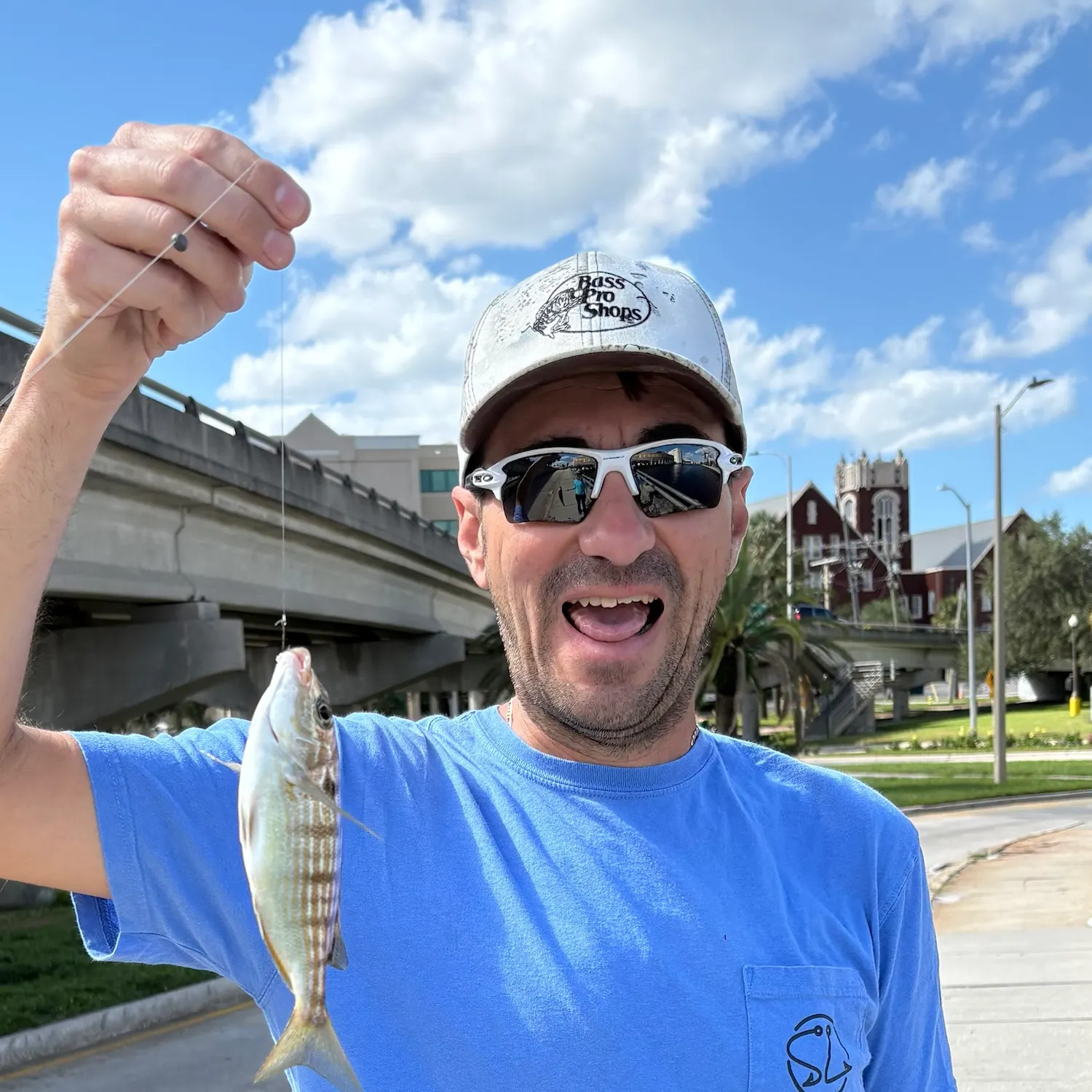 Pinfish caught on Fishbrain