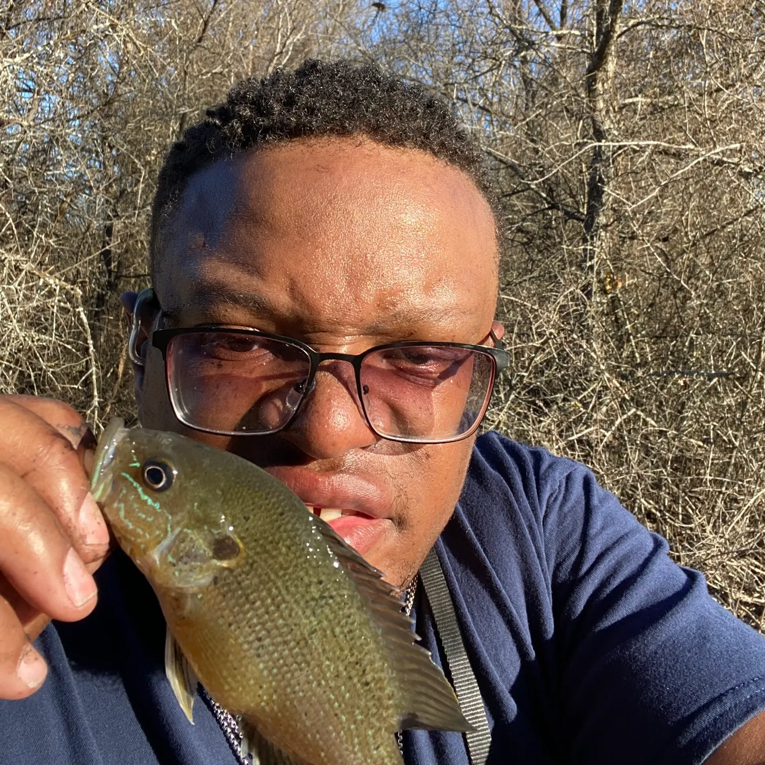 The most recent Green sunfish catches on Fishbrain
