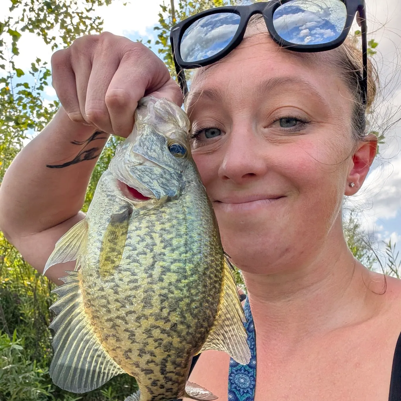 Black crappie caught on Fishbrain