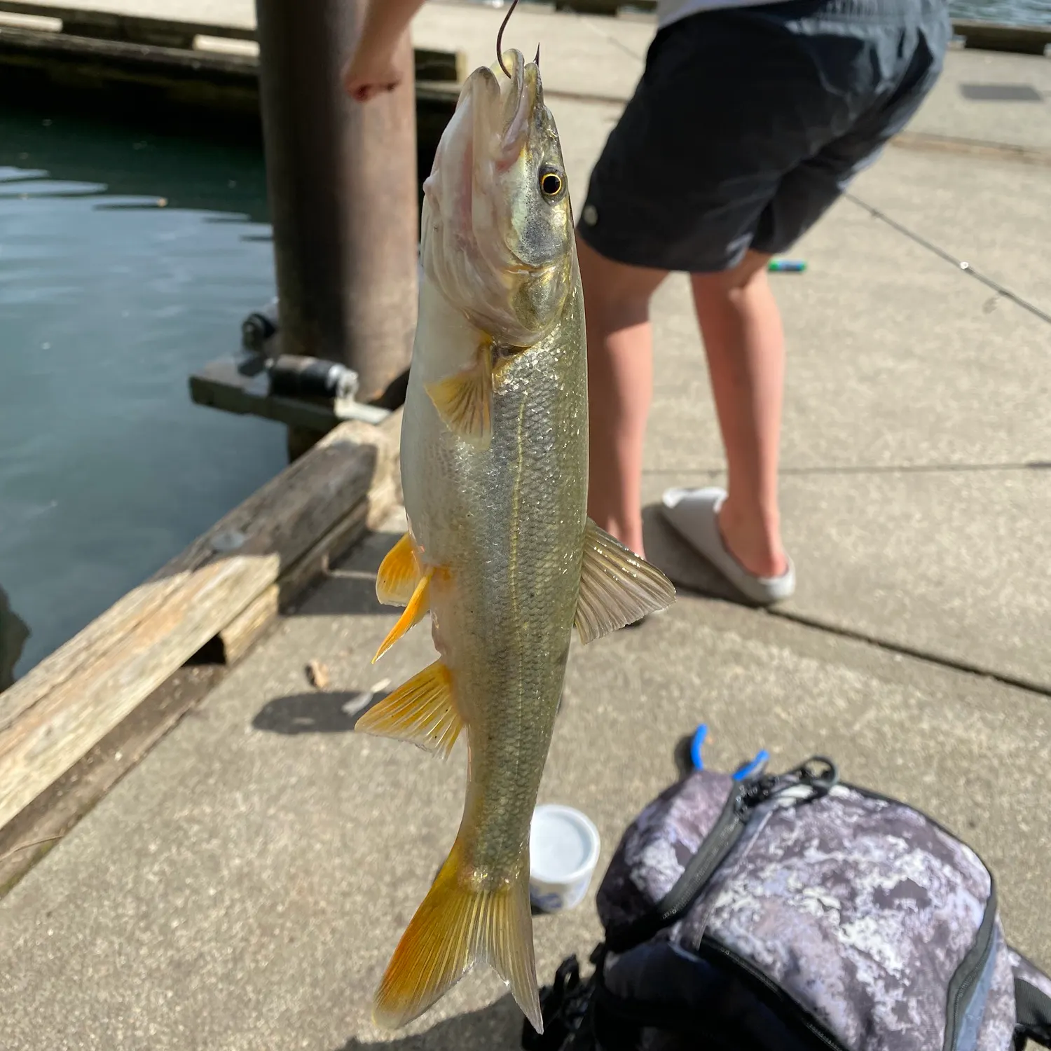 catch
