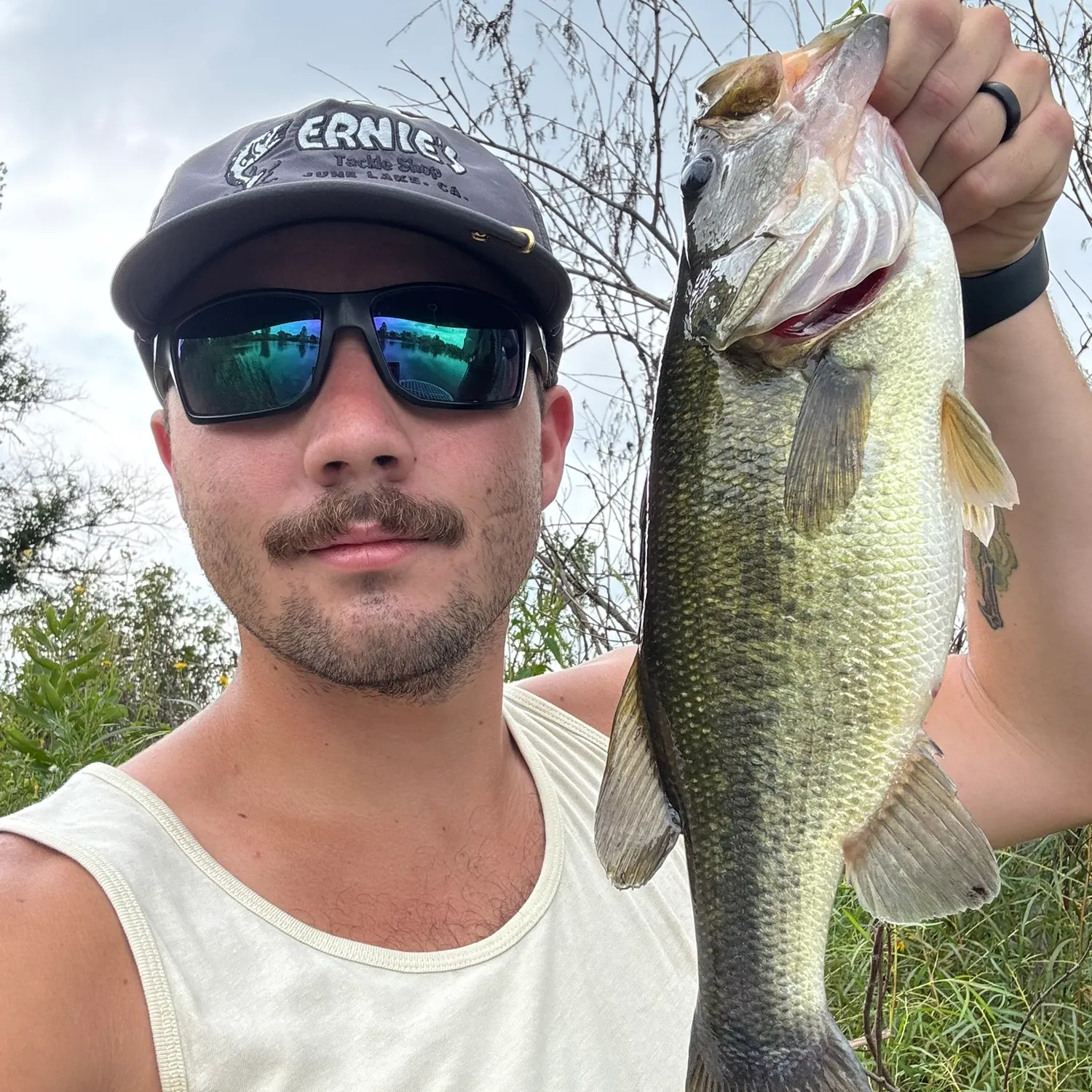 Largemouth bass caught on Fishbrain