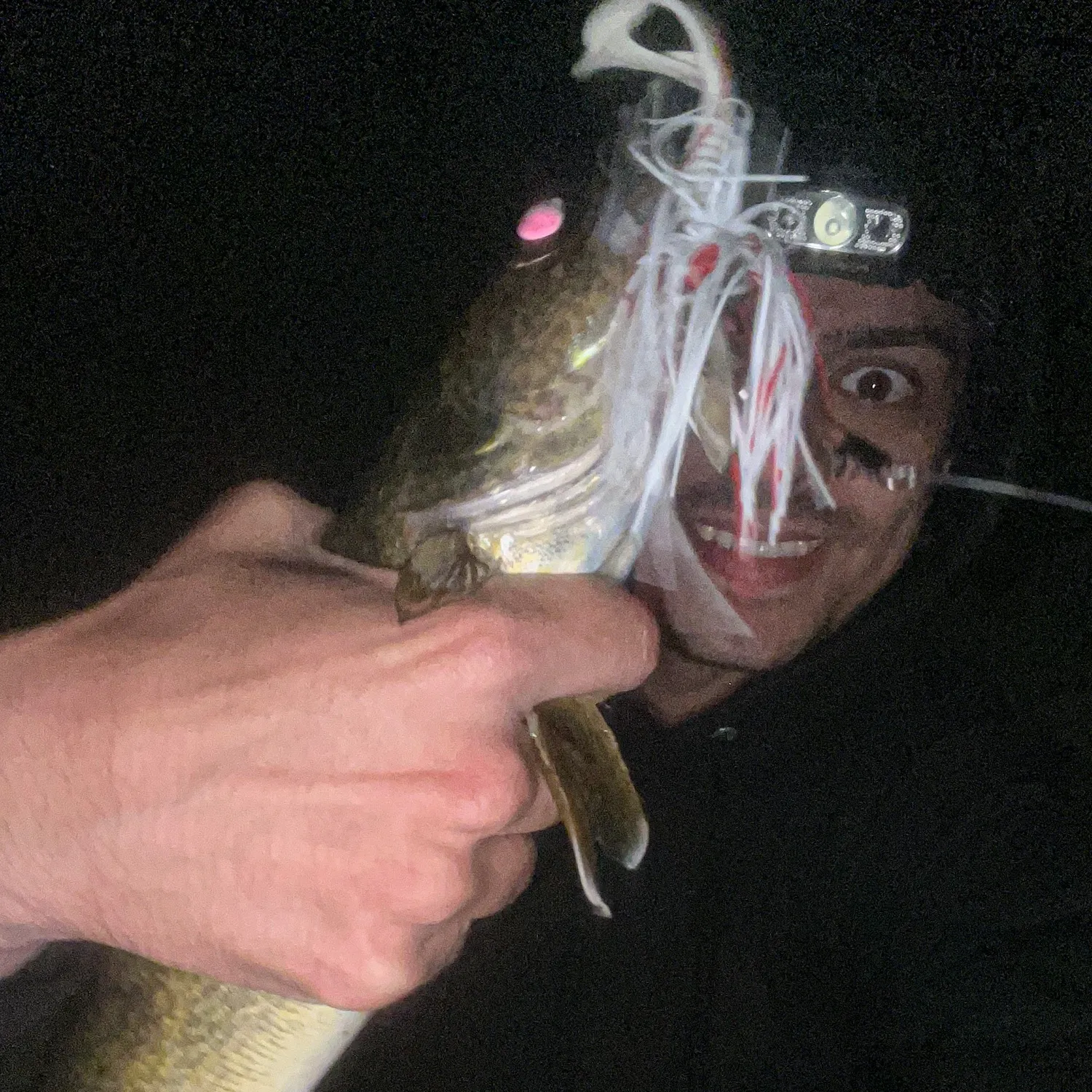 Walleye caught on Fishbrain