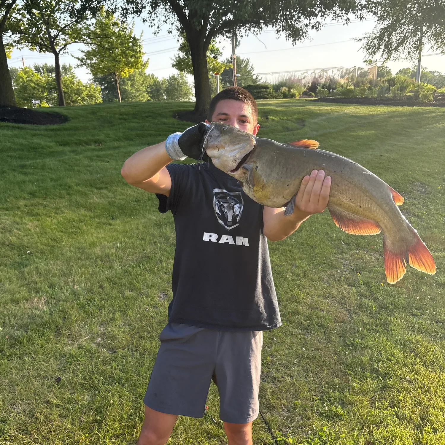 catch