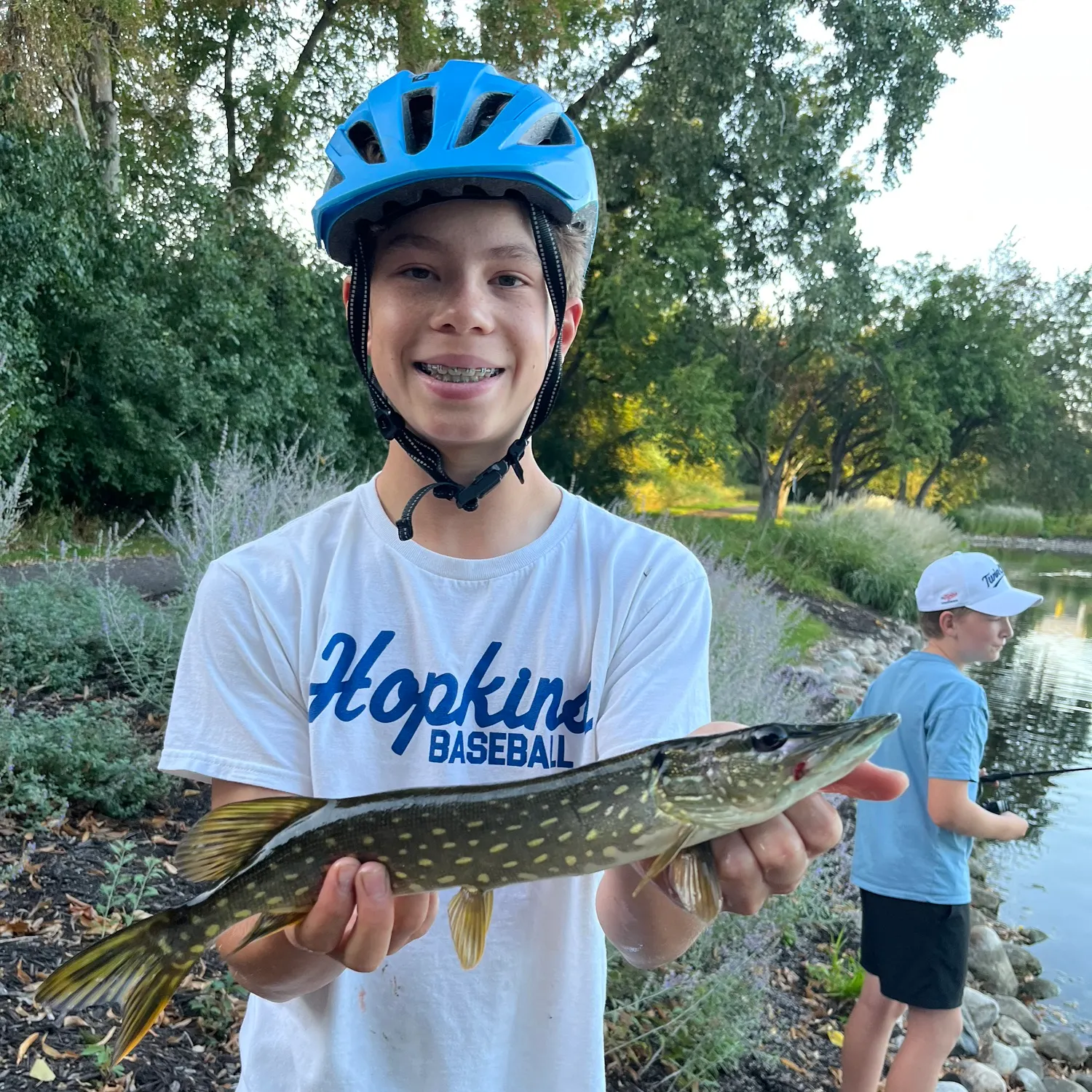Northern pike caught on Fishbrain