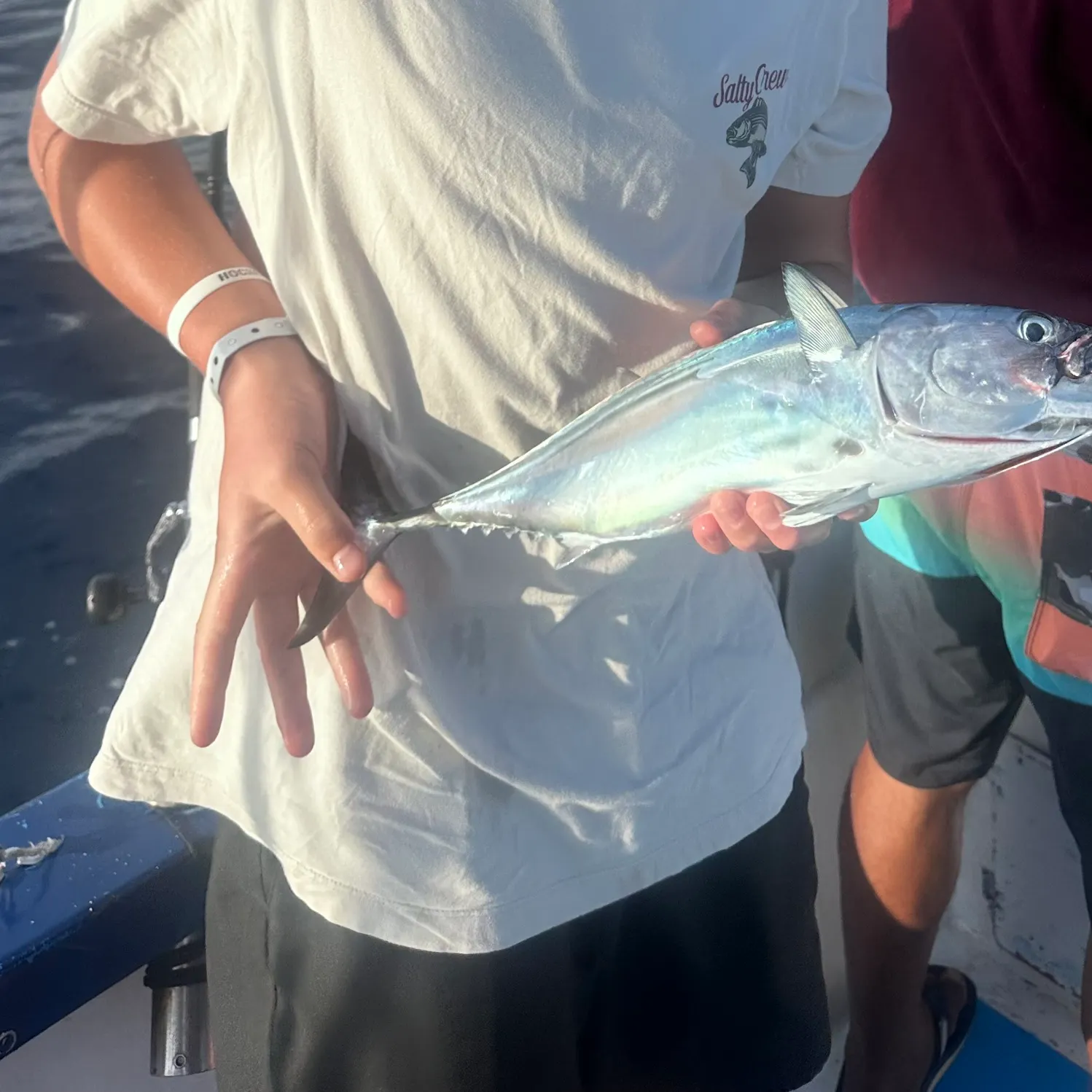 The most recent Black skipjack tuna catches on Fishbrain